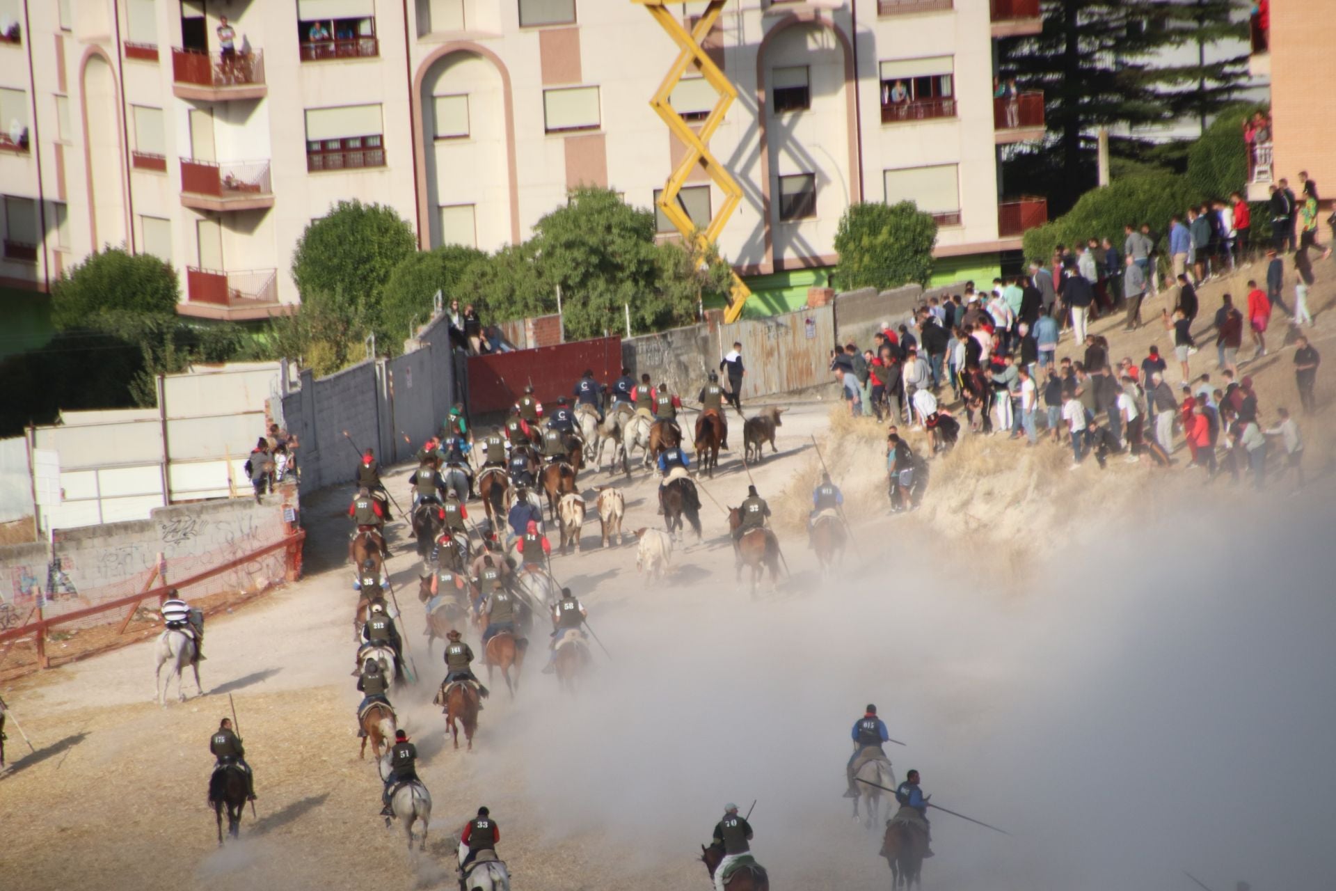 Fotografías del quinto encierro de Cuéllar en el campo
