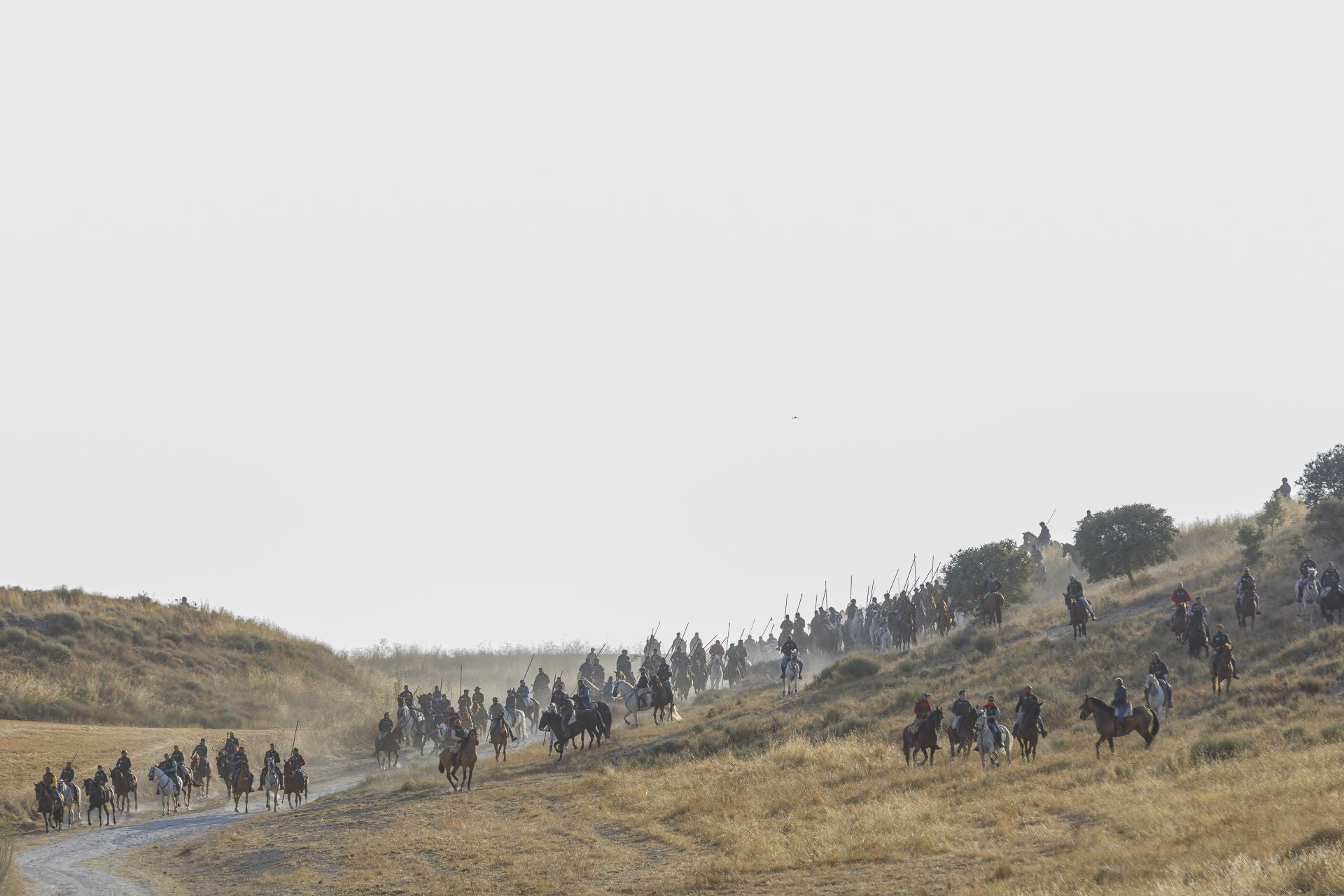Fotografías del quinto encierro de Cuéllar en el campo
