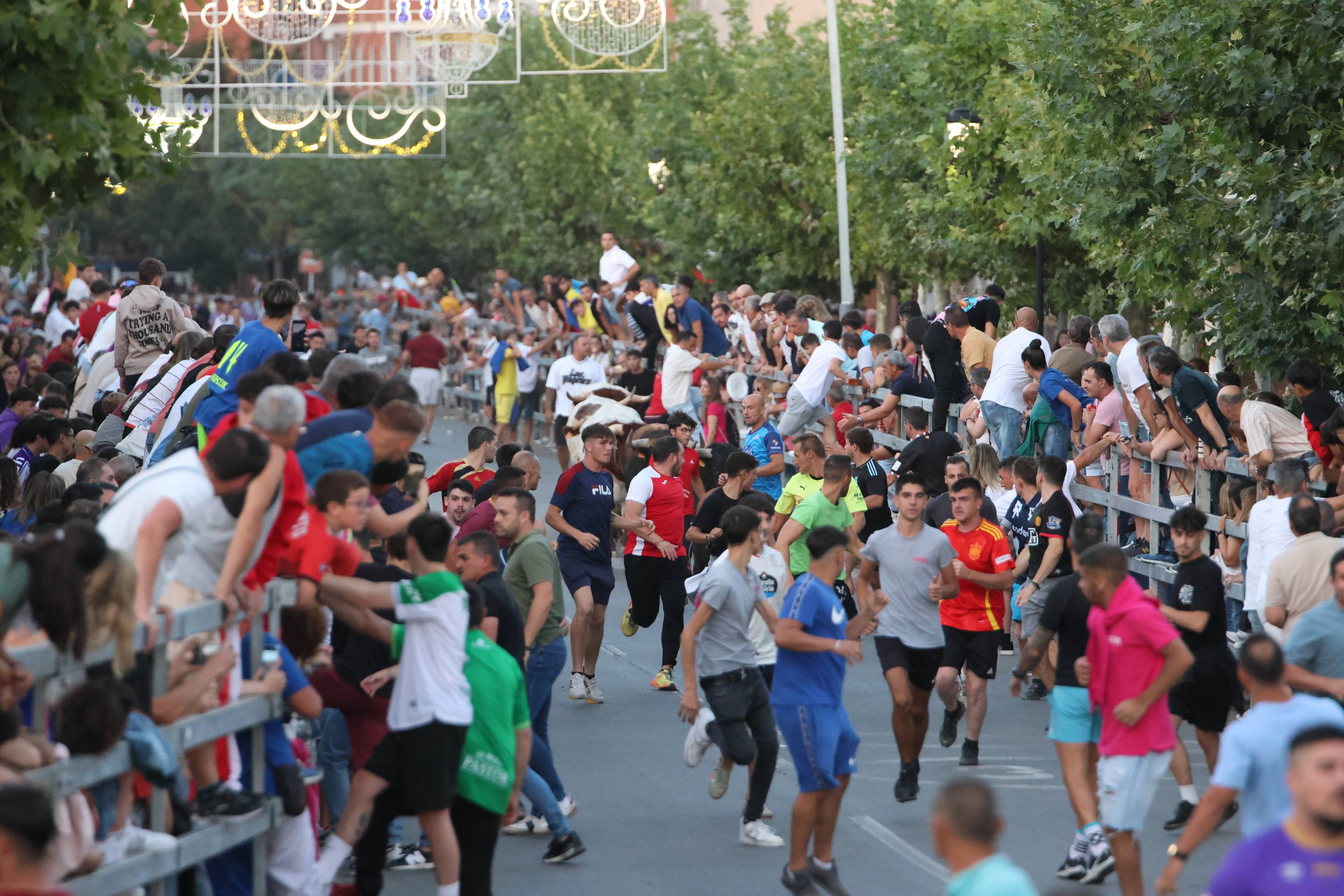 El encierro en Medina del Campo, en imágenes