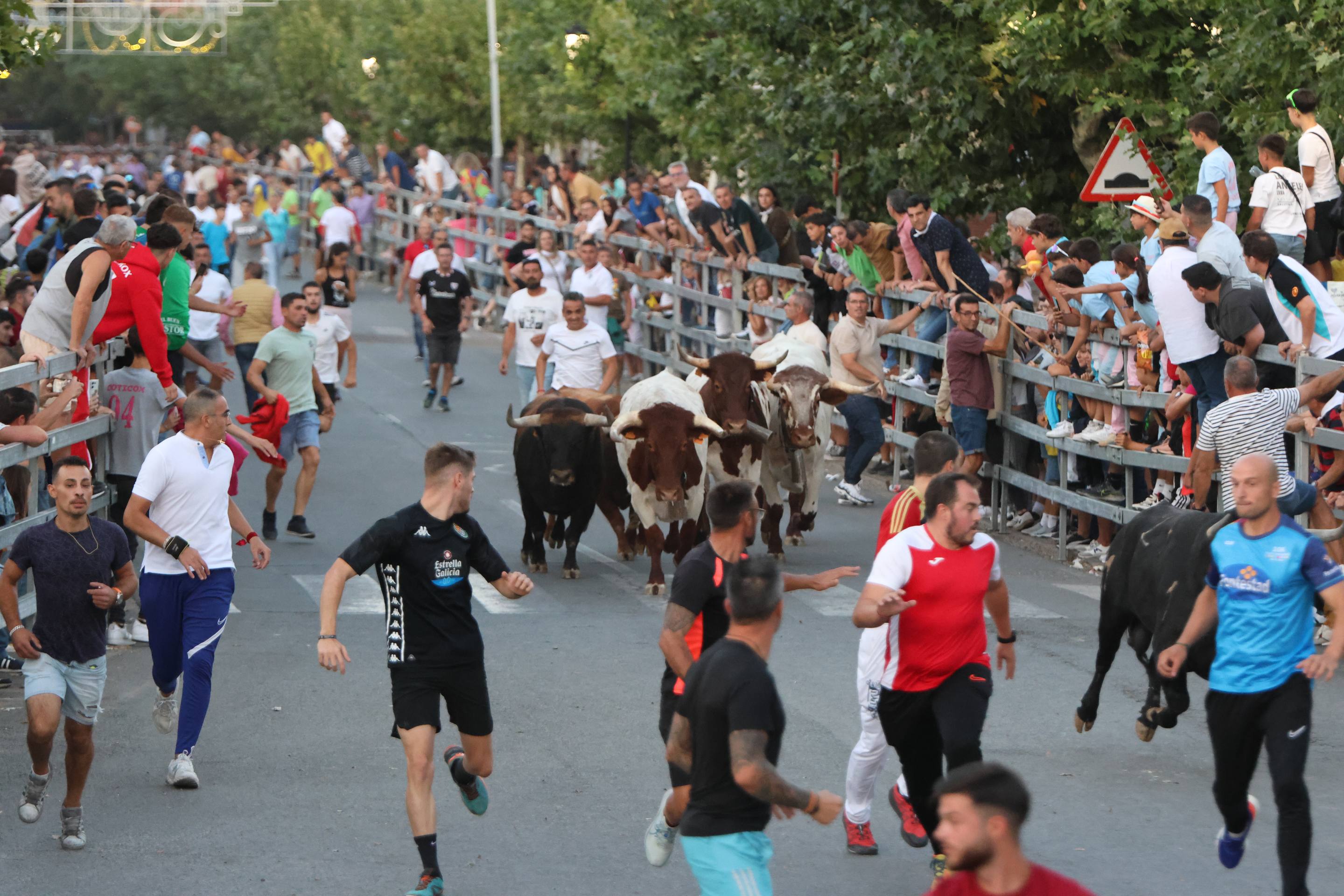 El encierro en Medina del Campo, en imágenes
