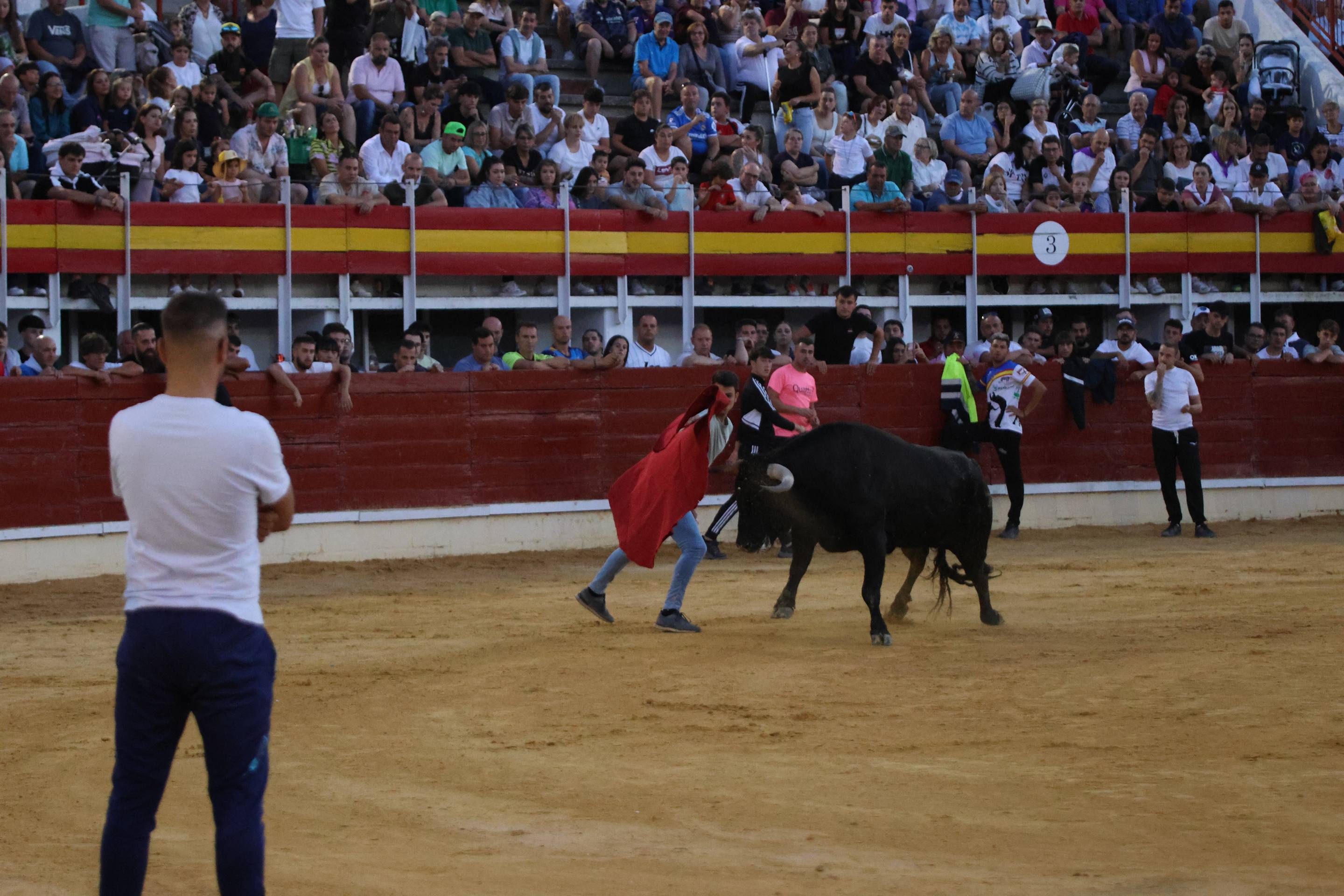 El encierro en Medina del Campo, en imágenes