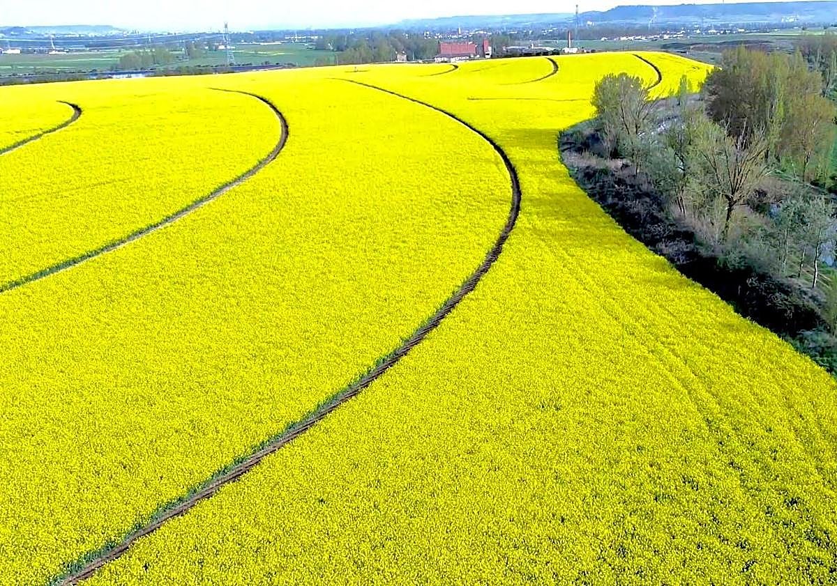 Imagen principal - La solución a las necesidades de cada agricultor
