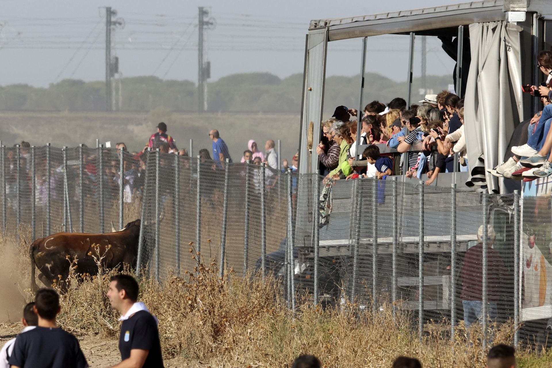 Las imágenes del encierro de este sábado en Medina del Campo