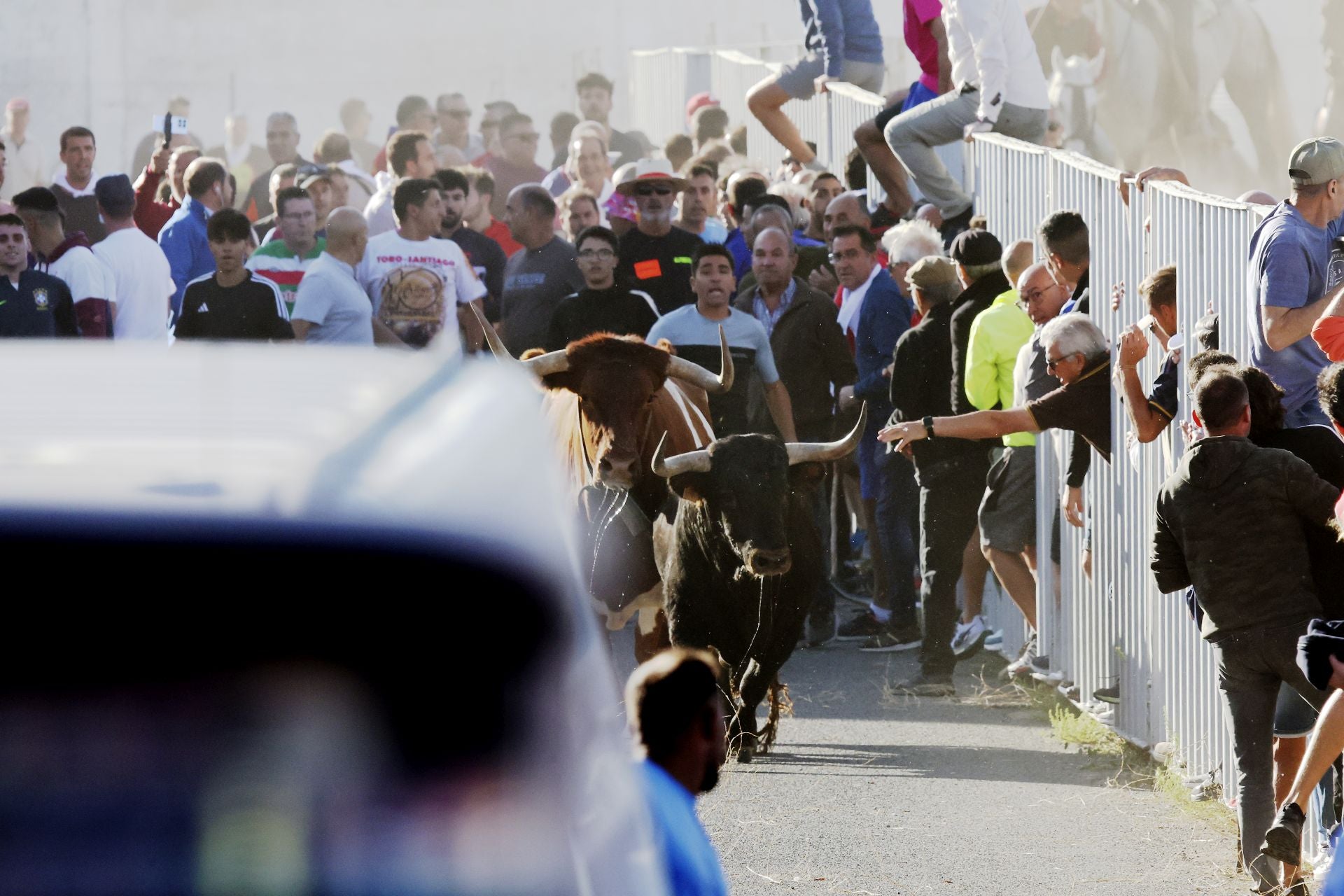 Las imágenes del encierro de este sábado en Medina del Campo