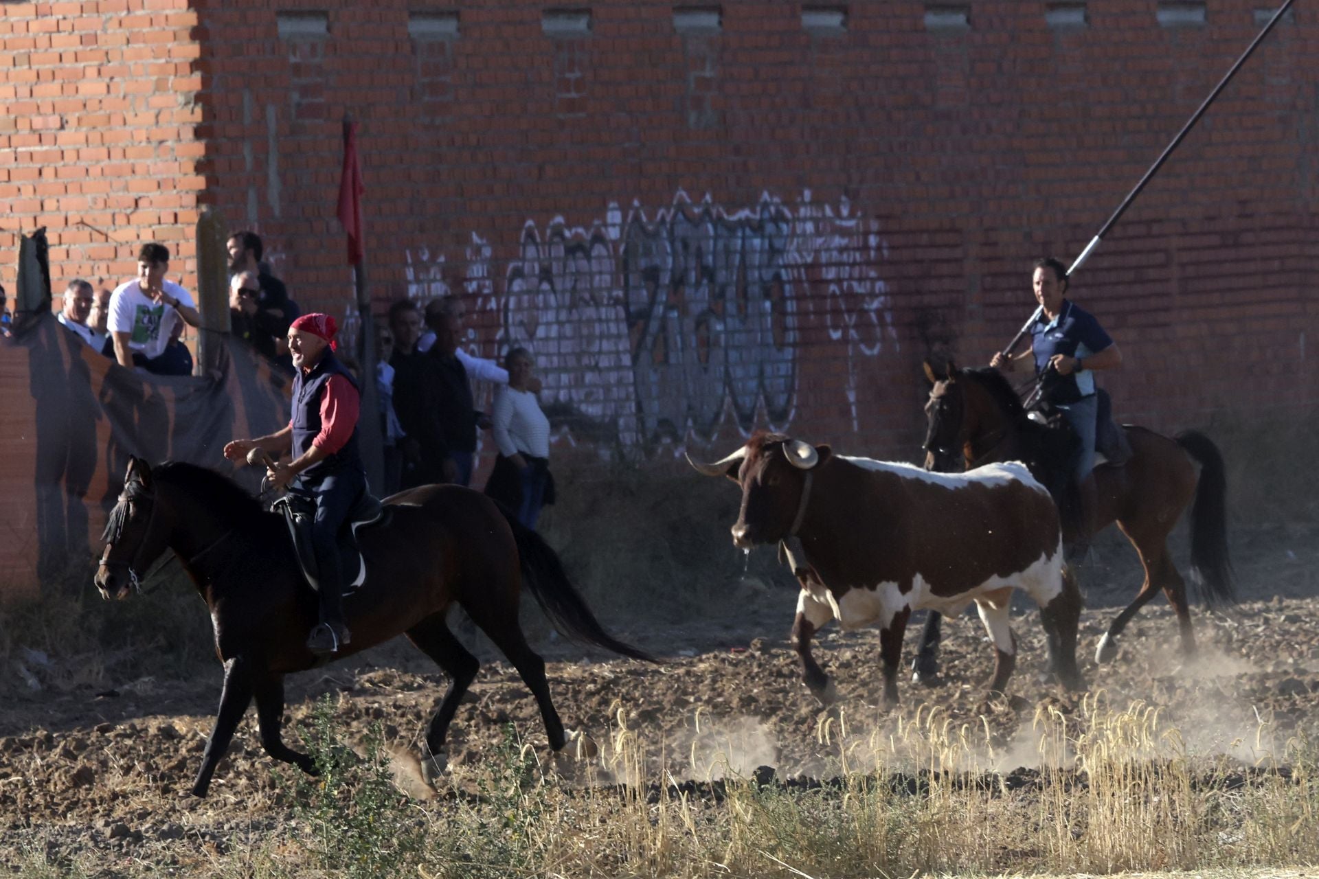 Las imágenes del encierro de este sábado en Medina del Campo