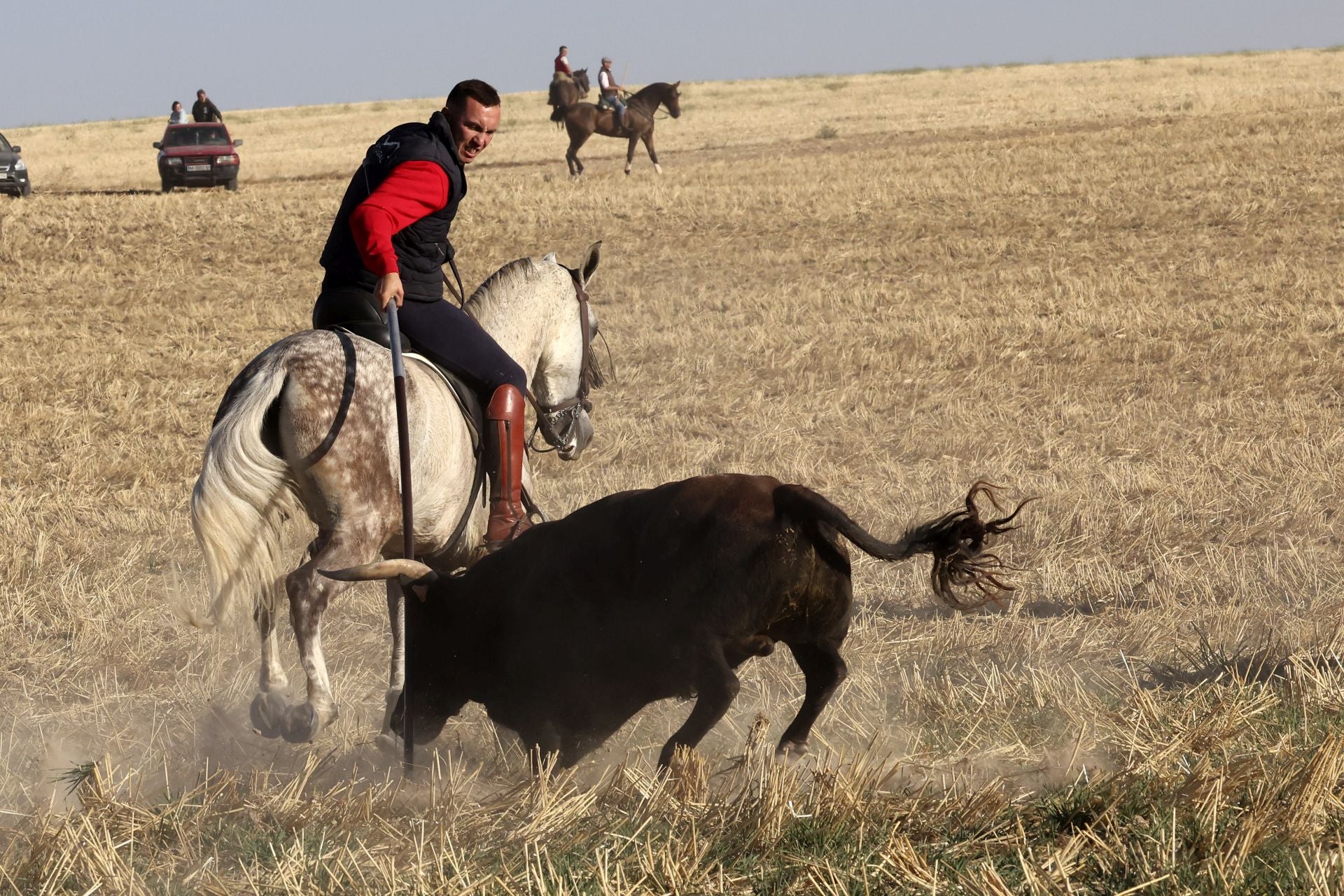 Las imágenes del encierro de este sábado en Medina del Campo
