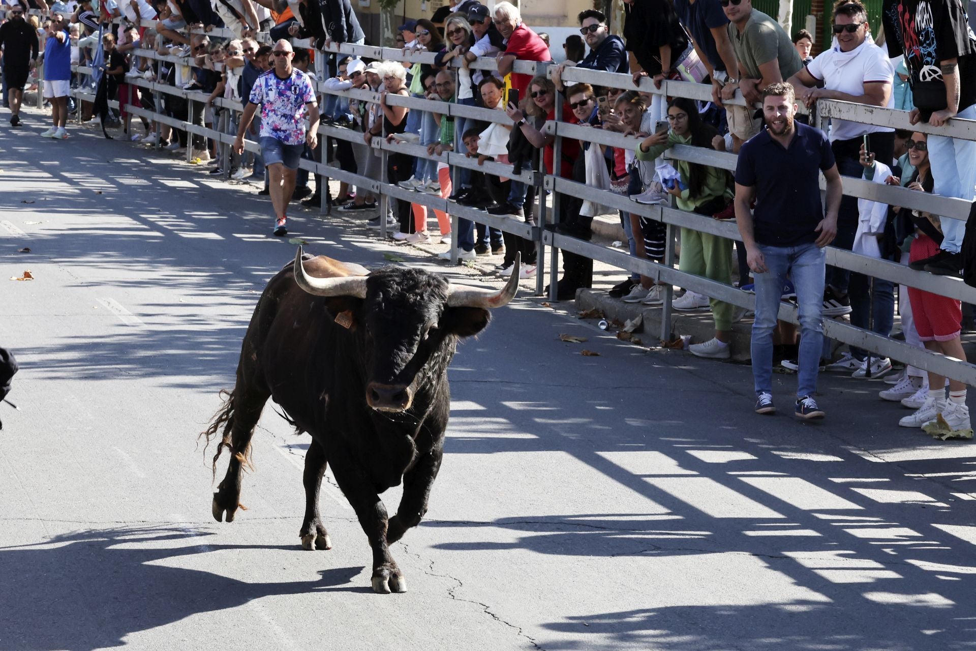 Las imágenes del encierro de este sábado en Medina del Campo