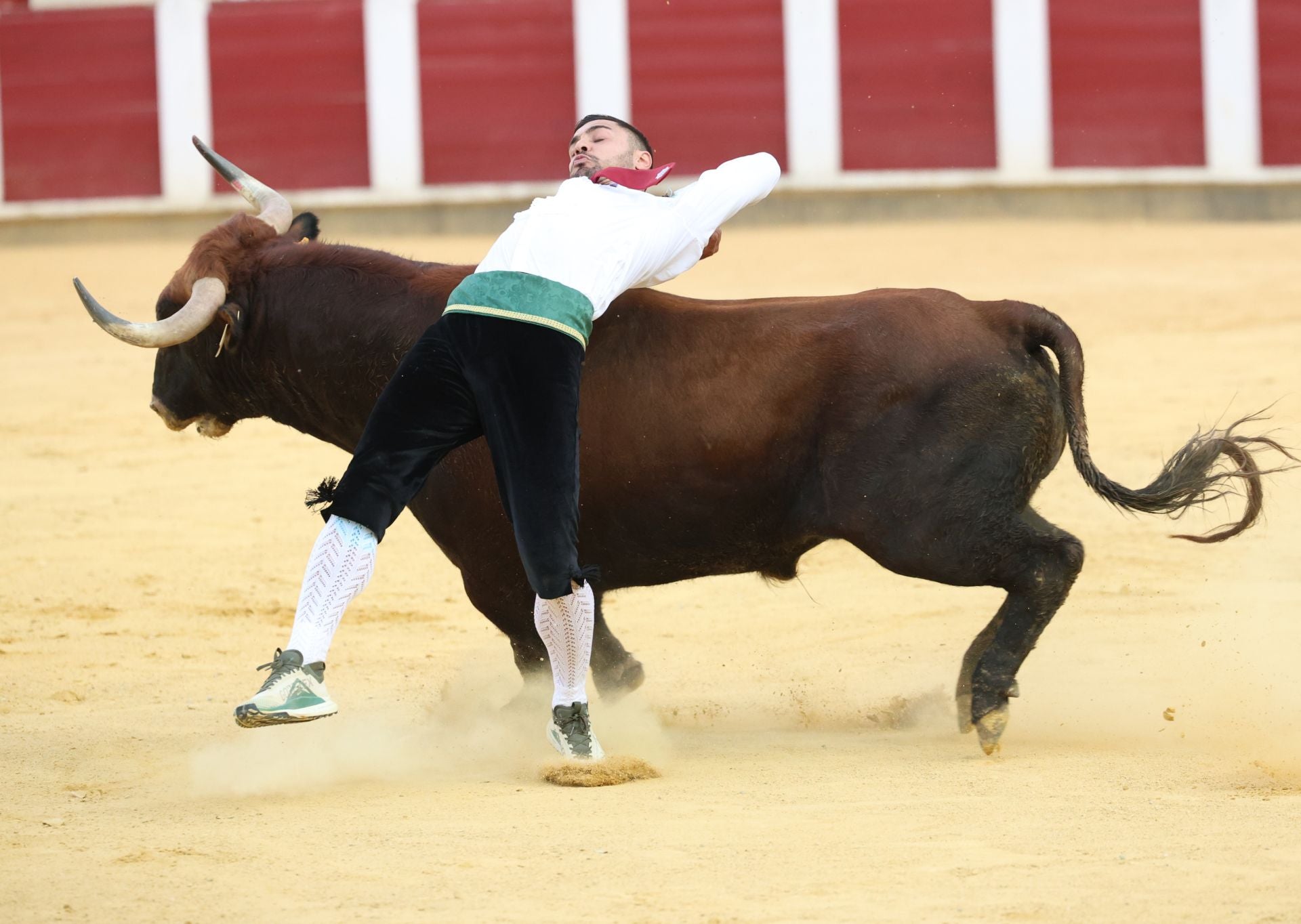 El Concurso de Cortes de Valladolid, en imágenes