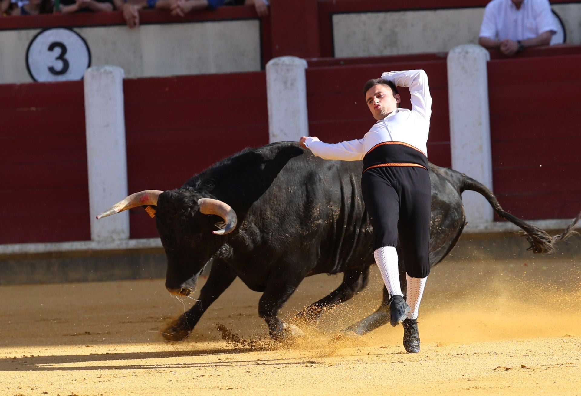 El Concurso de Cortes de Valladolid, en imágenes