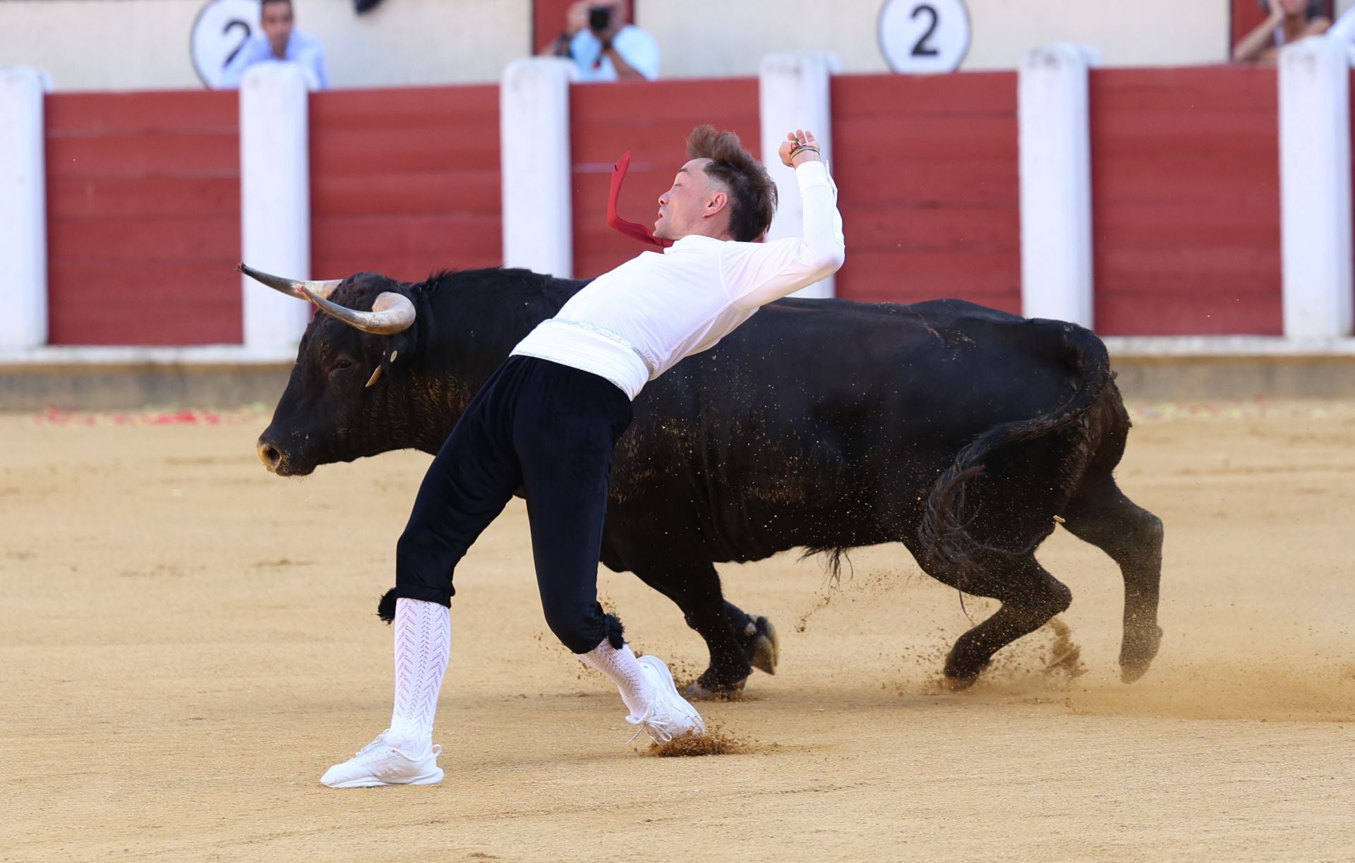 El Concurso de Cortes de Valladolid, en imágenes