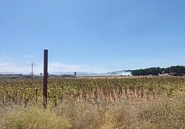 Humo procedente del incendio en Cantalejo.