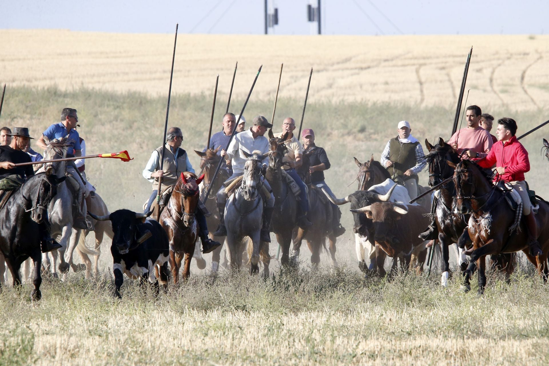 Las imágenes del encierro de este sábado en Medina del Campo