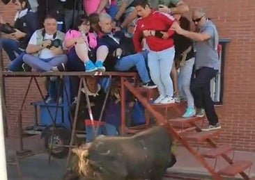 Siete heridos en el encierro de Medina tras escapar del recorrido uno de los toros