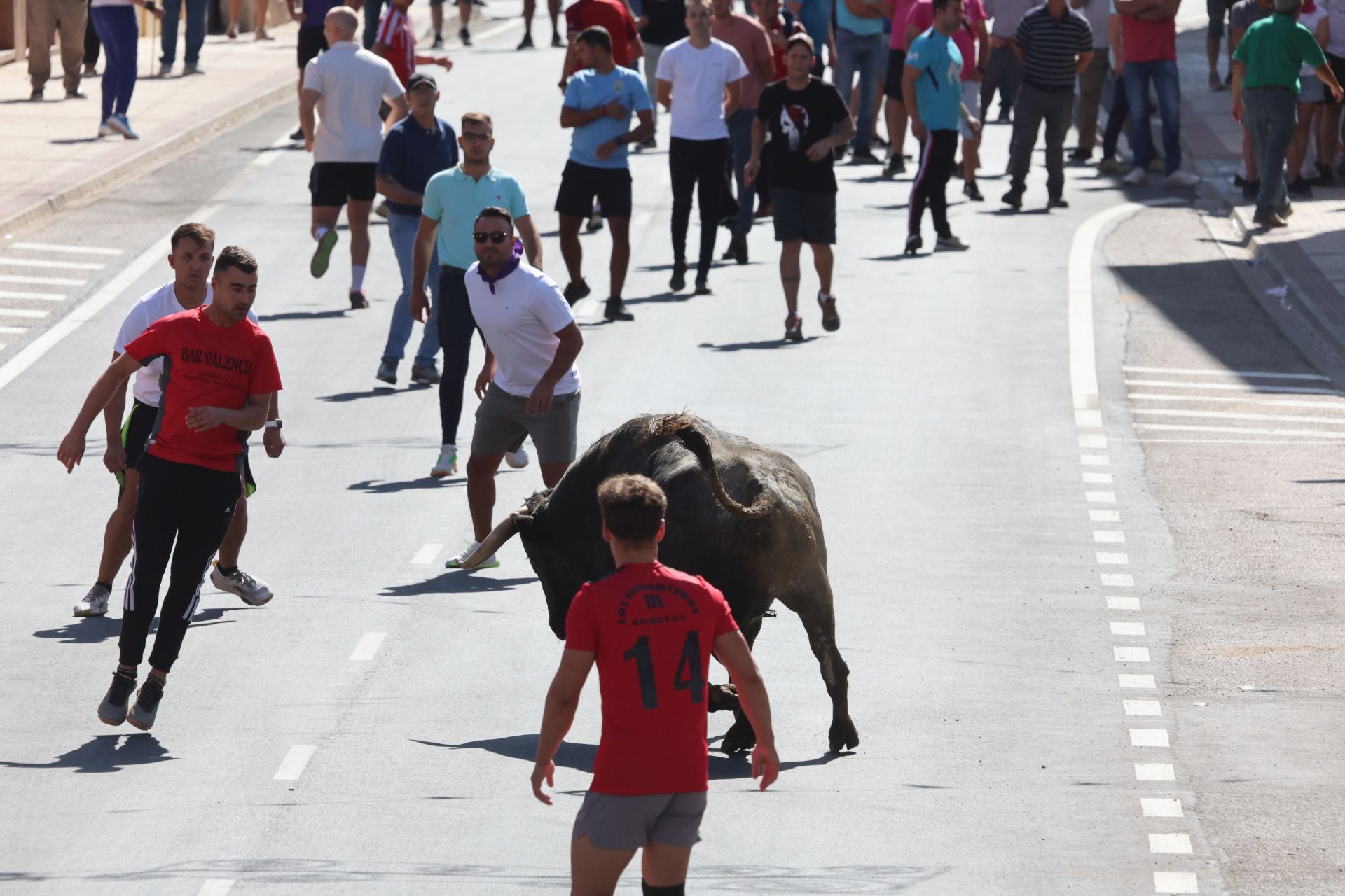 La fotos del encierro urbano en las fiestas de Nava del Rey 2025