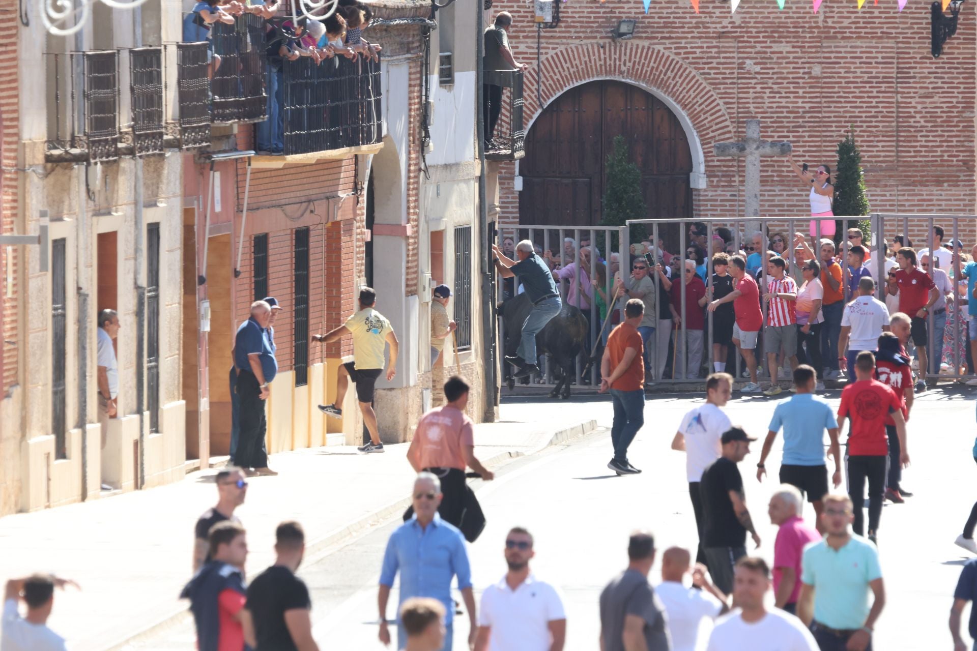 La fotos del encierro urbano en las fiestas de Nava del Rey 2025