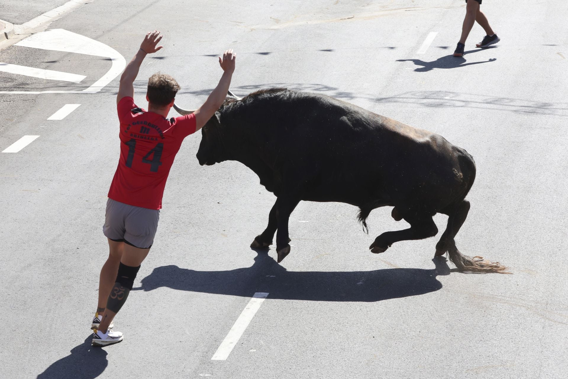 La fotos del encierro urbano en las fiestas de Nava del Rey 2025