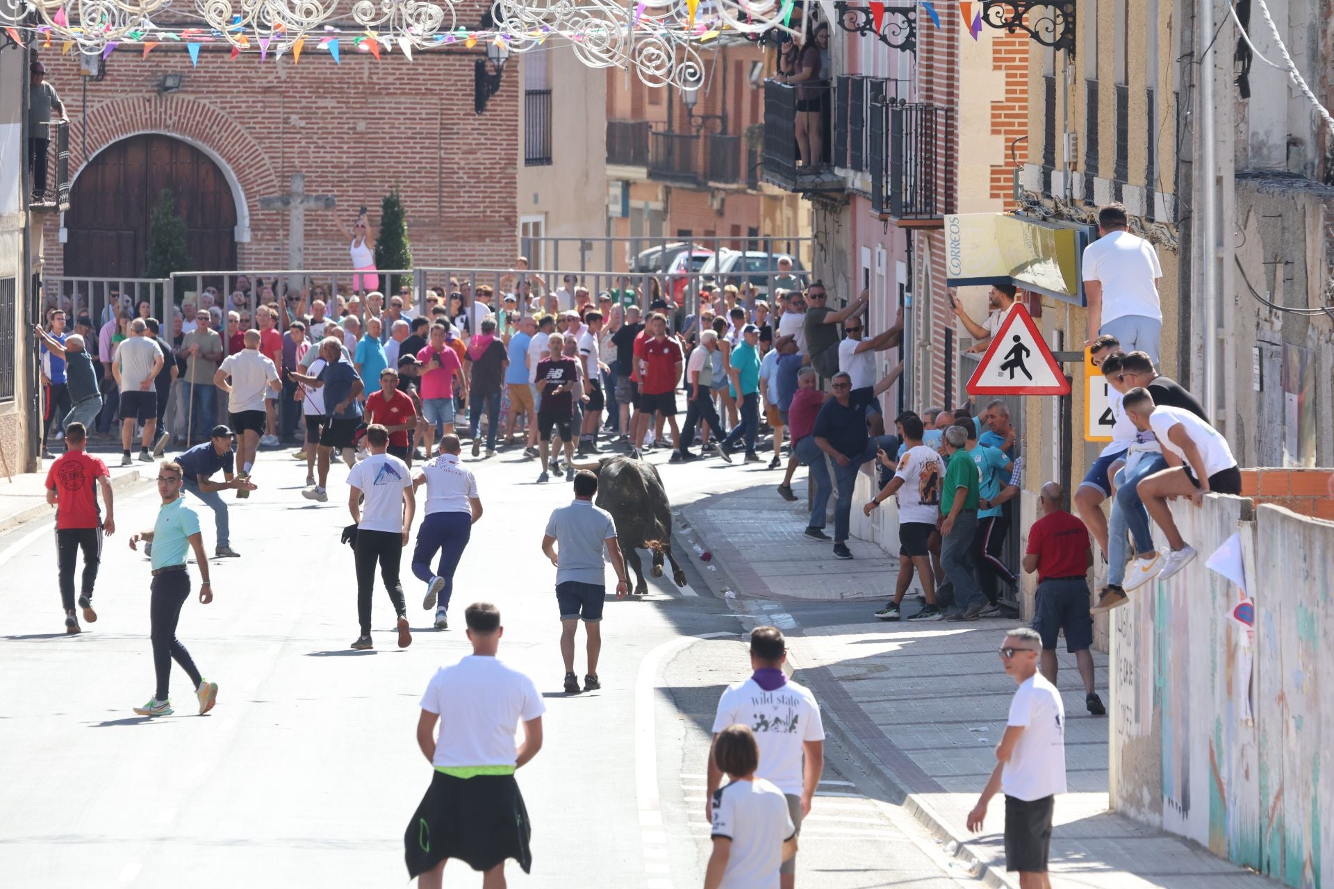 La fotos del encierro urbano en las fiestas de Nava del Rey 2025