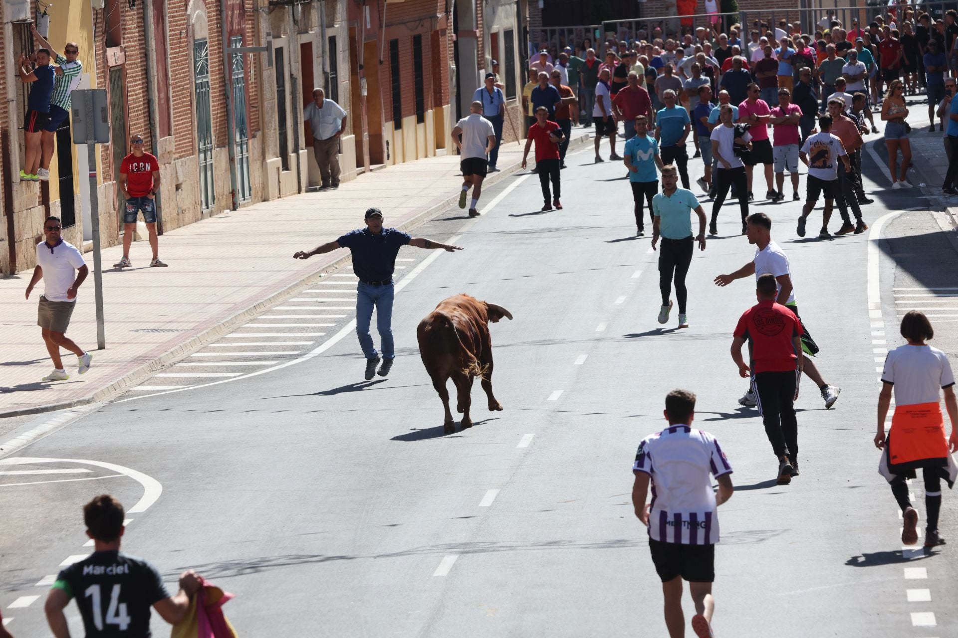 La fotos del encierro urbano en las fiestas de Nava del Rey 2025