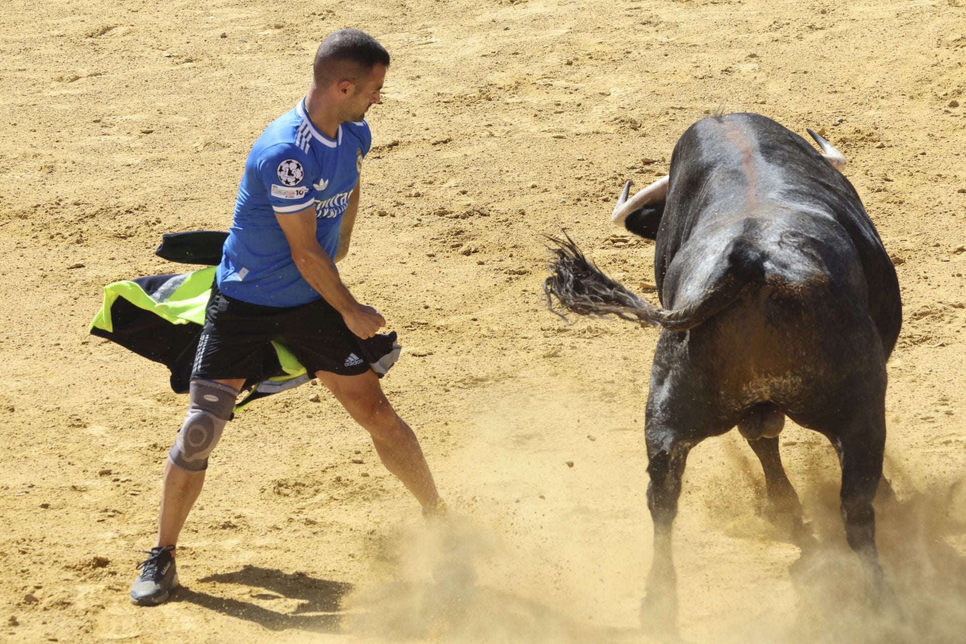 La fotos del encierro urbano en las fiestas de Nava del Rey 2025