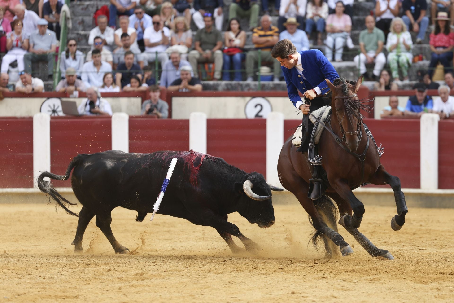 Guillermo Hermoso de Mendoza en la corrida de rejones de Valladolid.