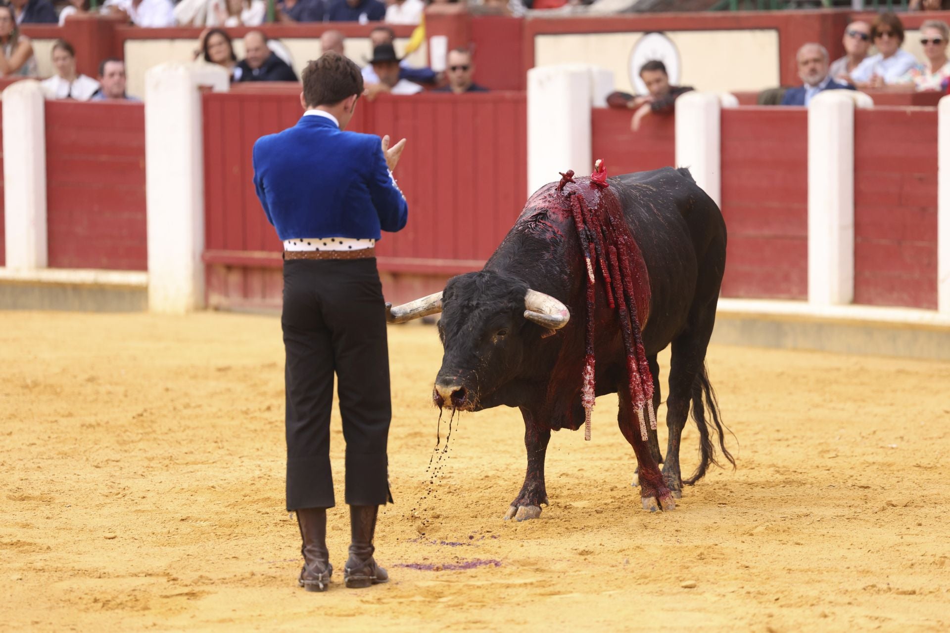Guillermo Hermoso de Mendoza en la corrida de rejones de Valladolid.