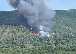 El incendio de Garcibuey, activo en una zona arbolada.