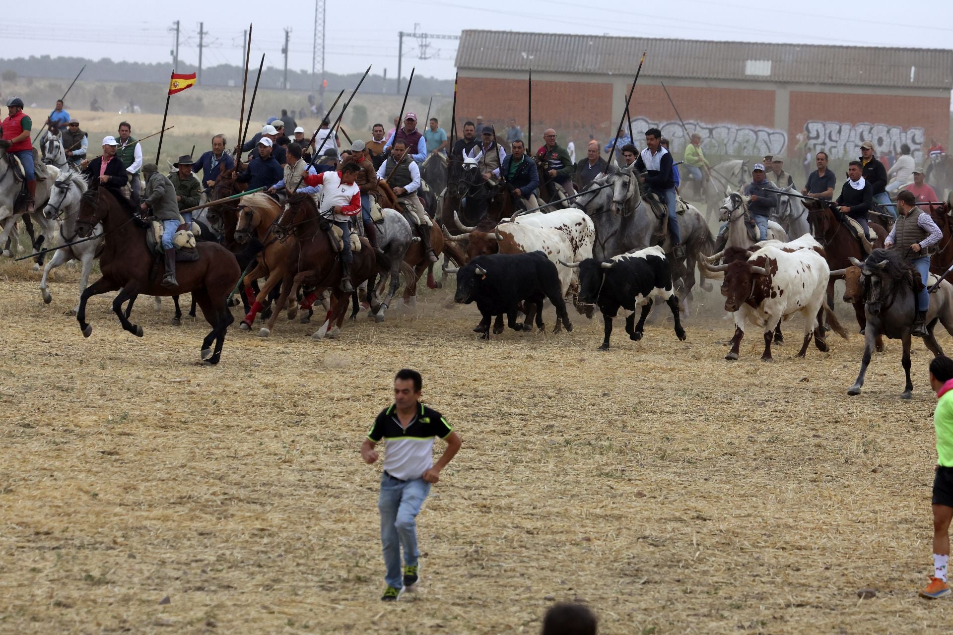 Las fotos del encierro celebrado en Medina del Campo durante la mañana del 7 de septiembre