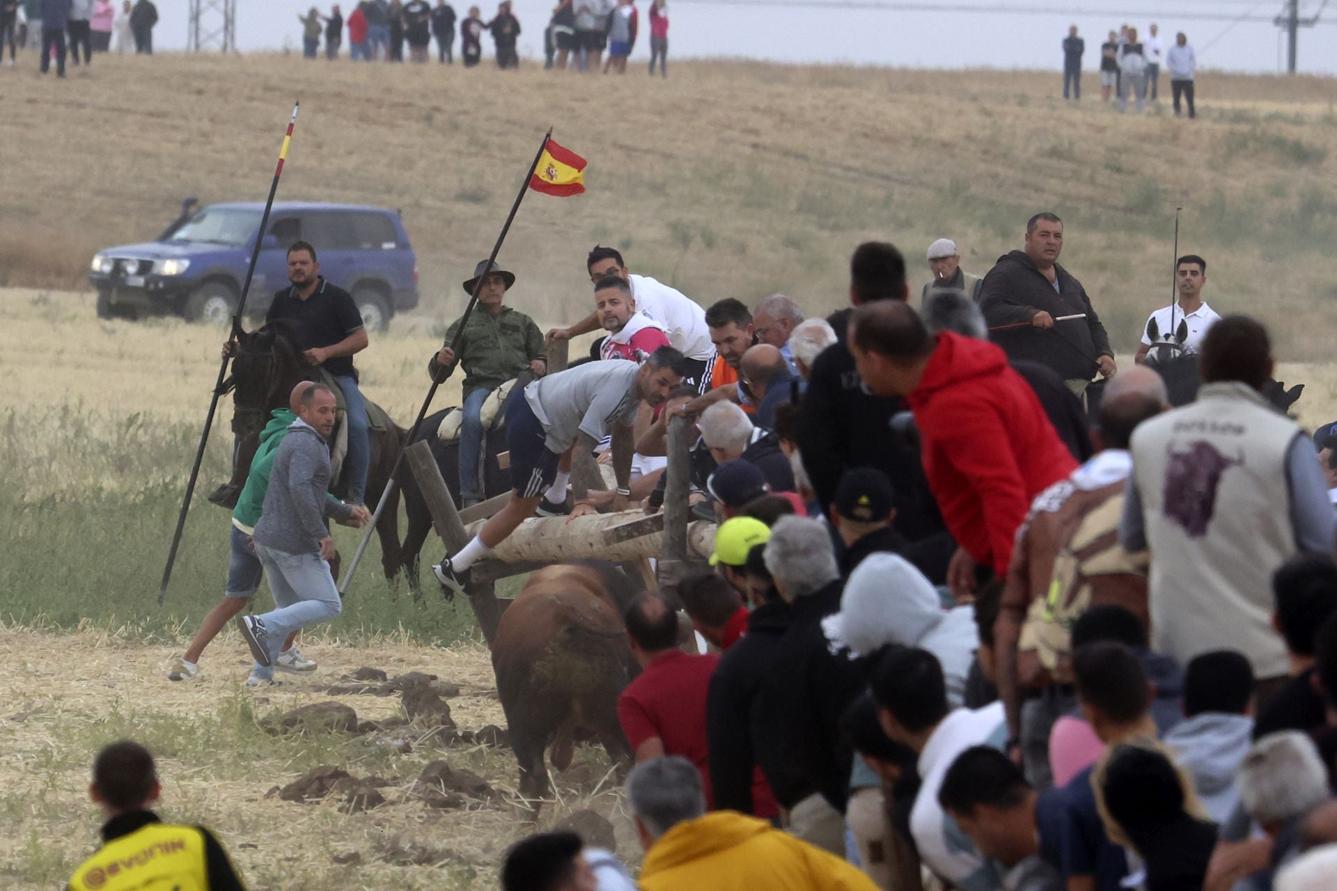 Las fotos del encierro celebrado en Medina del Campo durante la mañana del 7 de septiembre