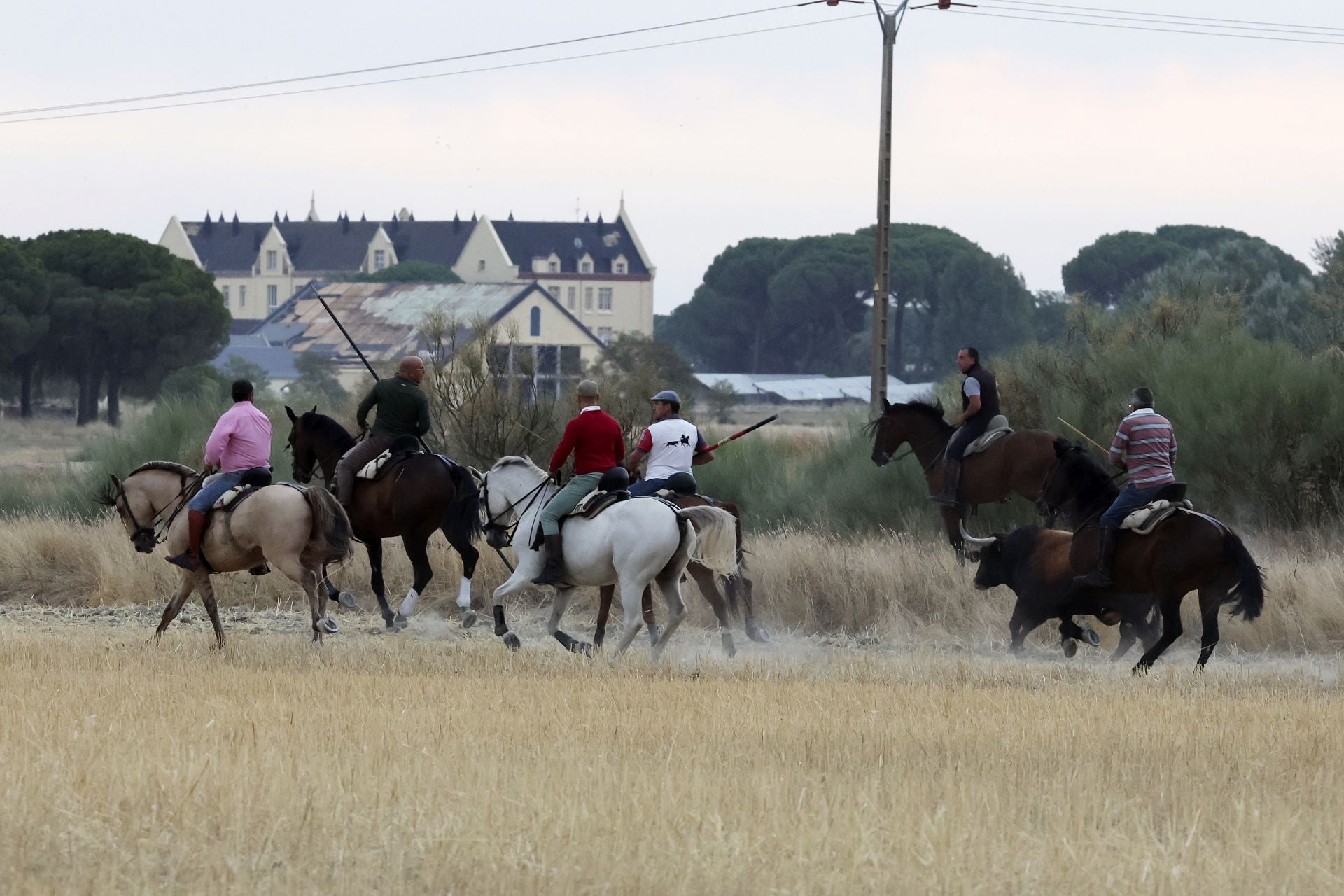 Las fotos del encierro celebrado en Medina del Campo durante la mañana del 7 de septiembre