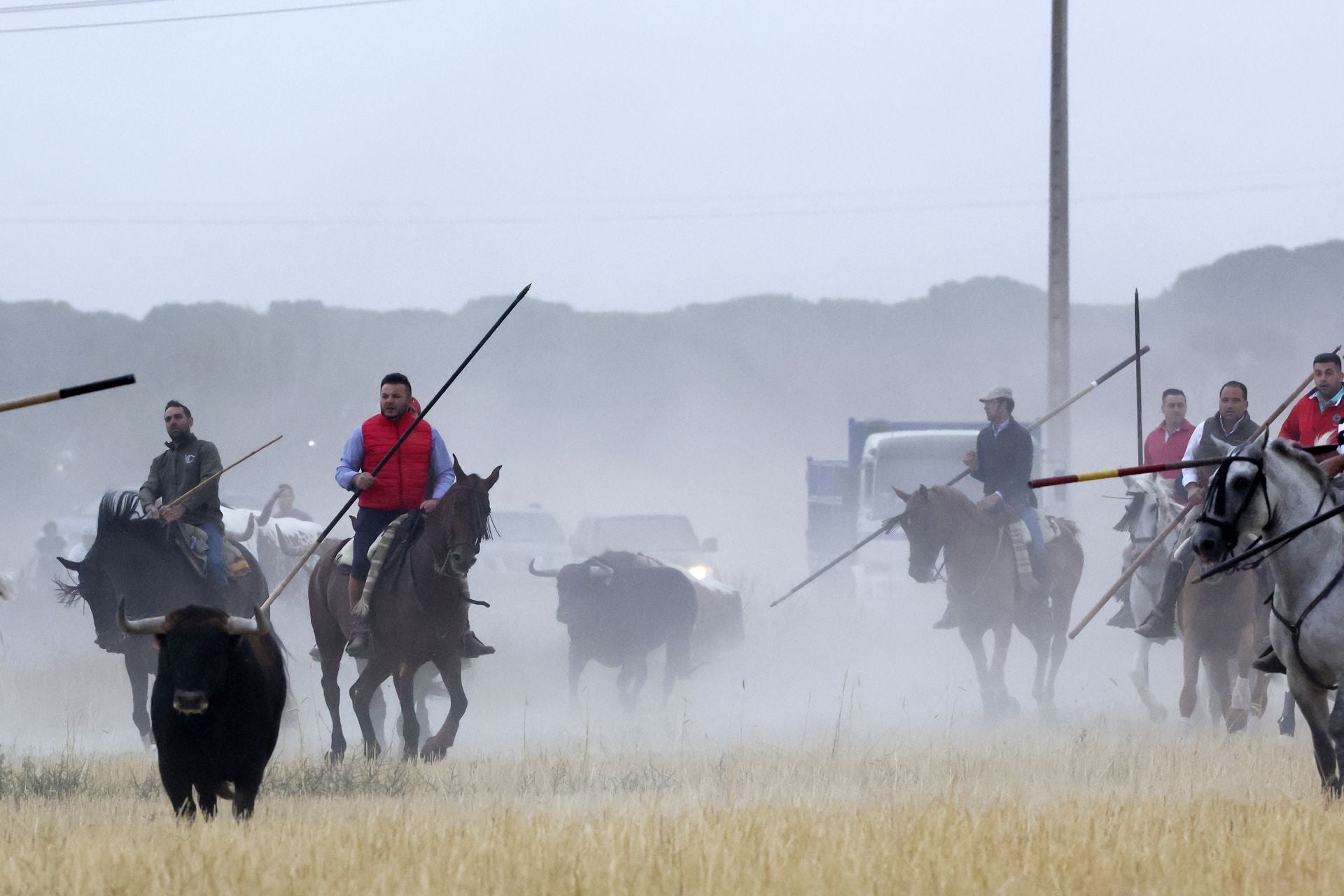 Las fotos del encierro celebrado en Medina del Campo durante la mañana del 7 de septiembre