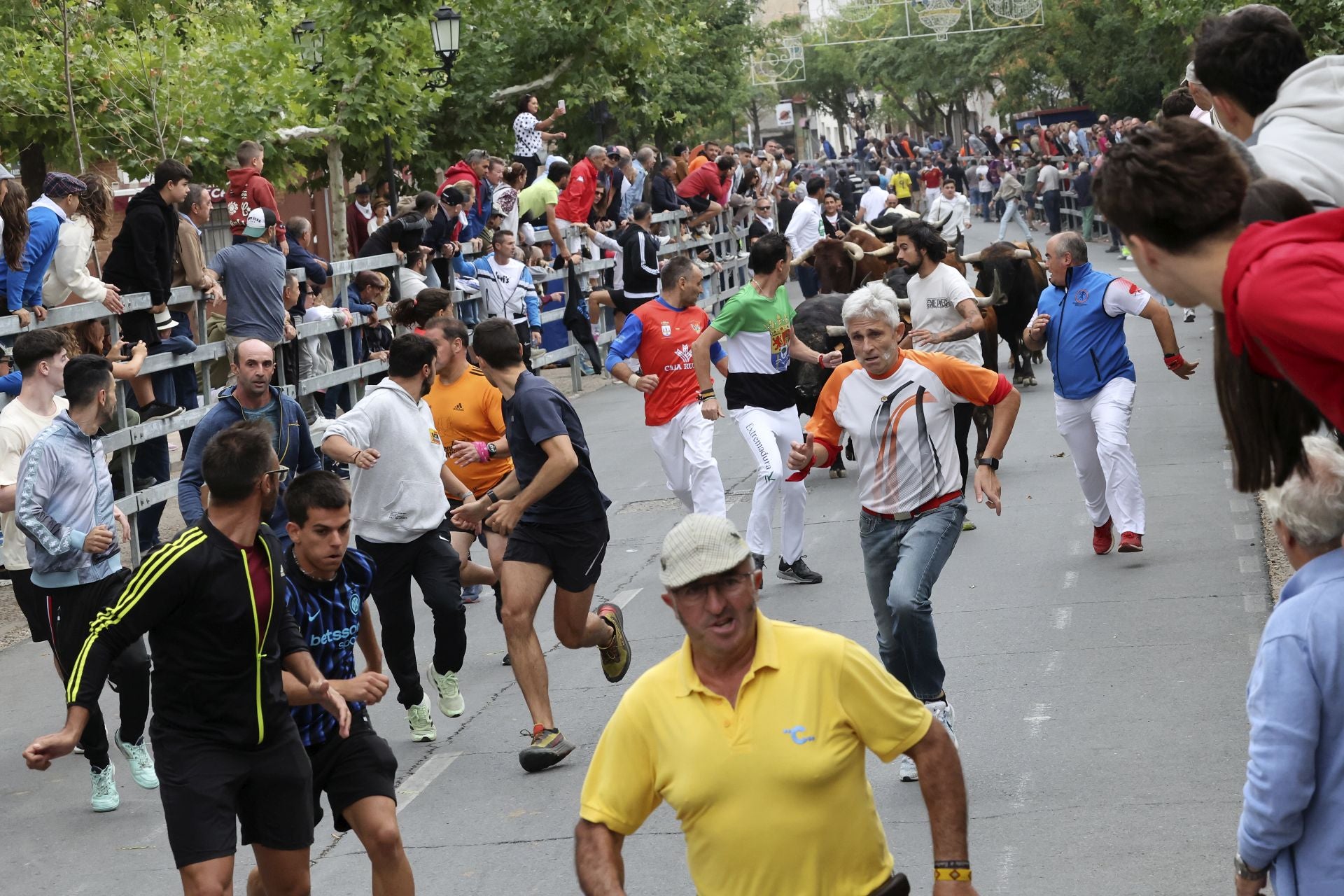 Las fotos del encierro celebrado en Medina del Campo durante la mañana del 7 de septiembre