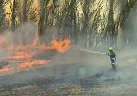 Bomberos de la Diputación sofocan el incendio en Grijota.