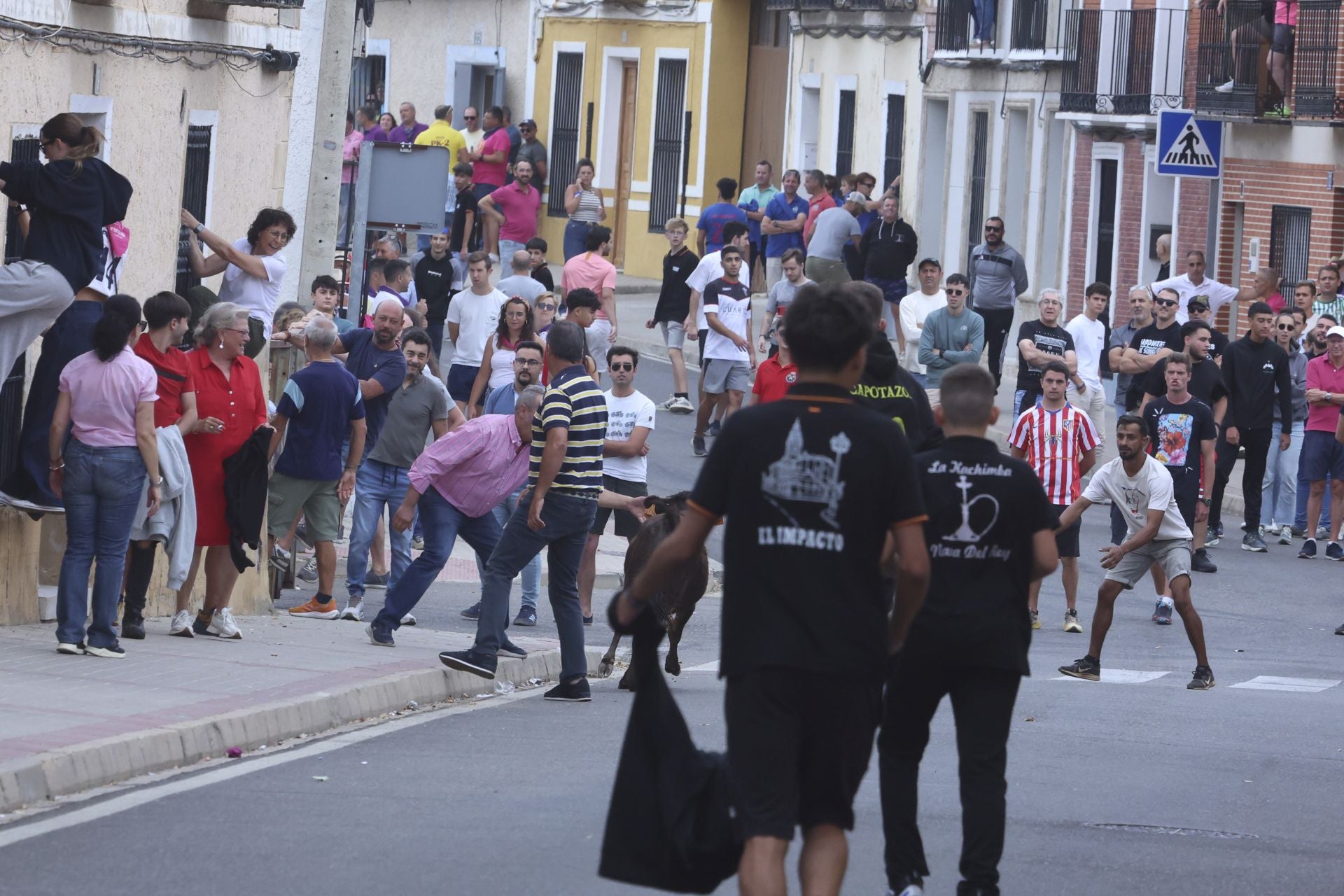 Encierro urbano, vaca del cajón y capea de Nava del Rey