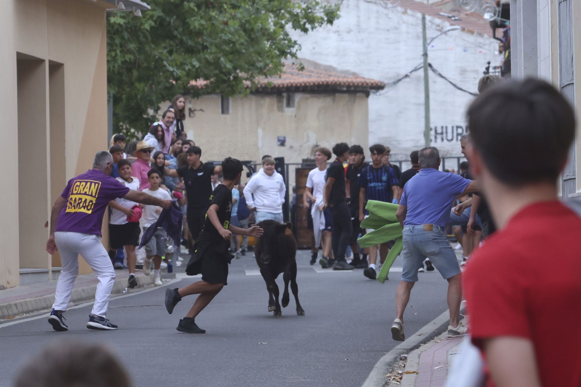 Encierro urbano, vaca del cajón y capea de Nava del Rey