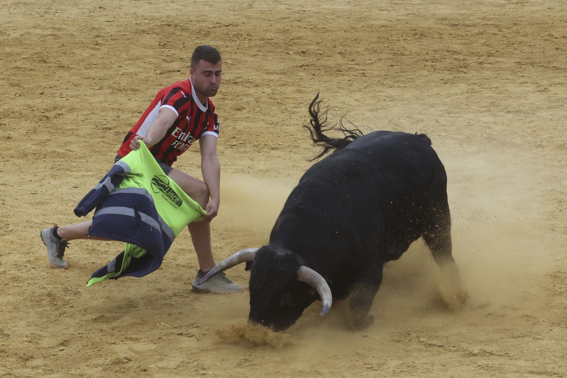 Encierro urbano, vaca del cajón y capea de Nava del Rey
