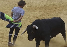 Encierro urbano, vaca del cajón y capea de Nava del Rey
