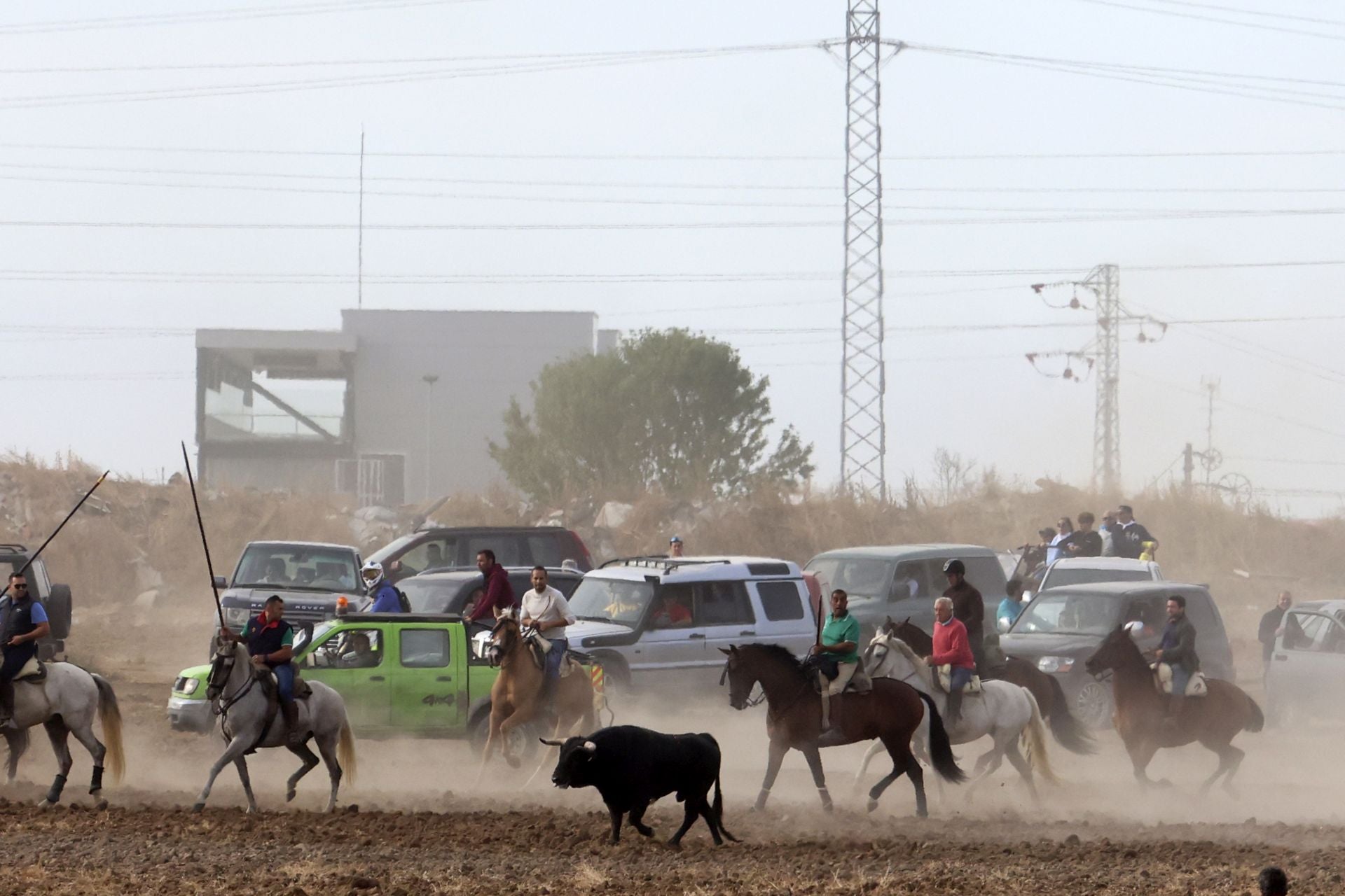 Las imágenes del encierro de este lunes en Medina del Campo