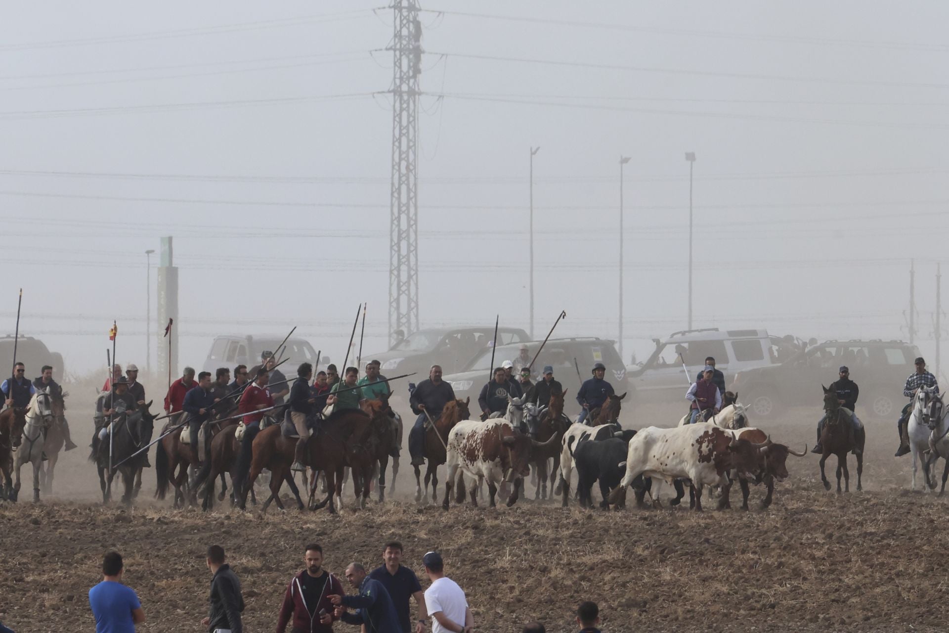 Las imágenes del encierro de este lunes en Medina del Campo