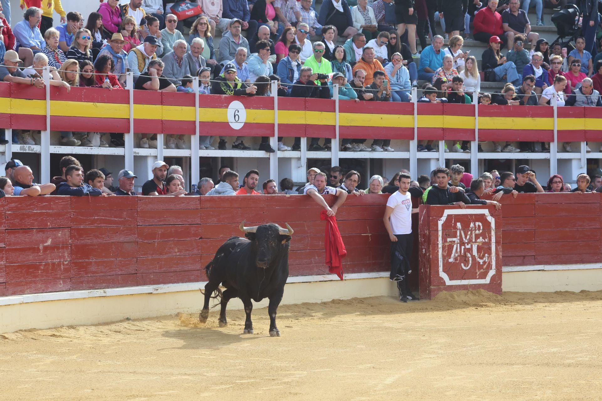 Las imágenes del encierro de este lunes en Medina del Campo