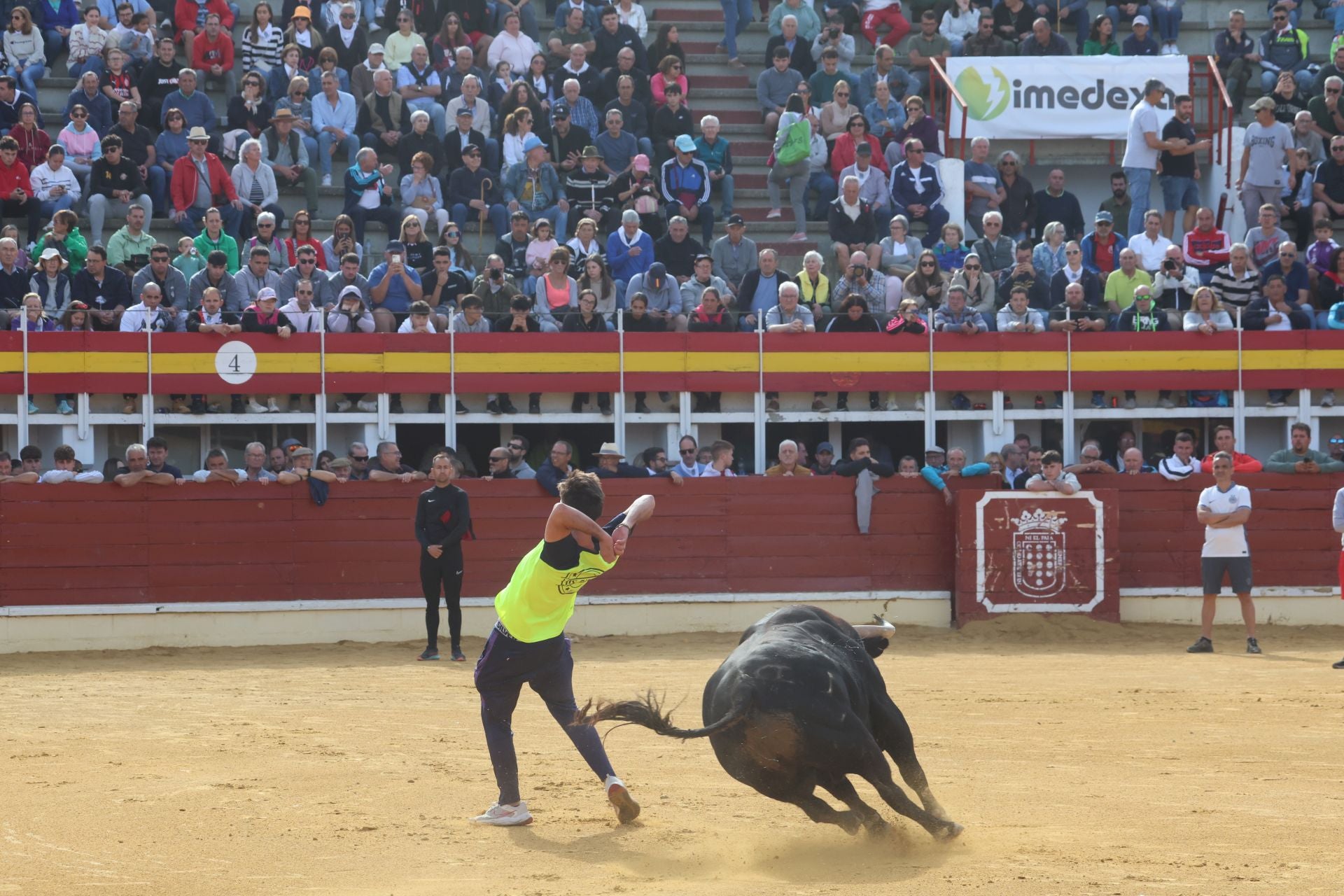Las imágenes del encierro de este lunes en Medina del Campo