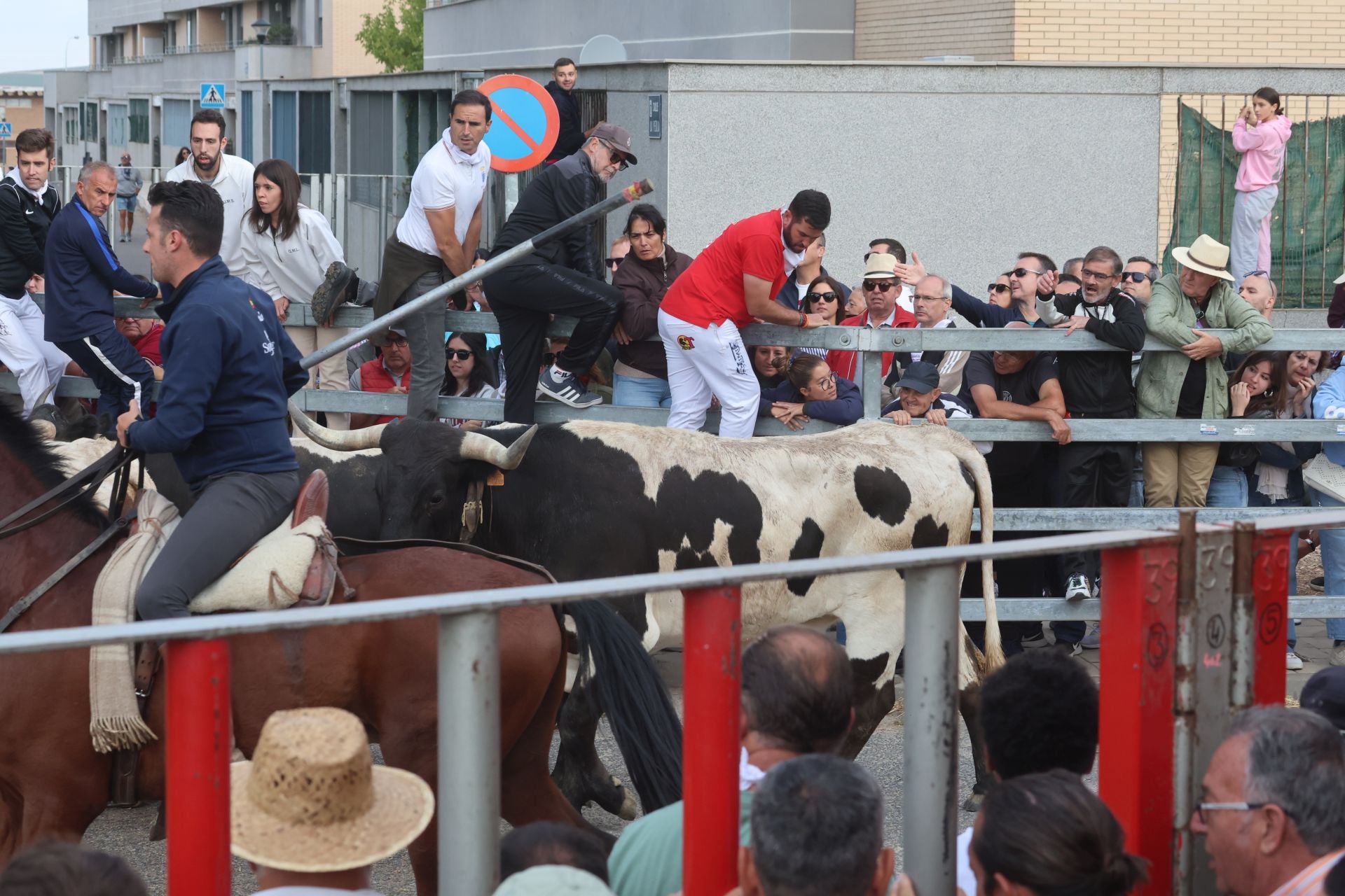 Las imágenes del encierro de este lunes en Medina del Campo