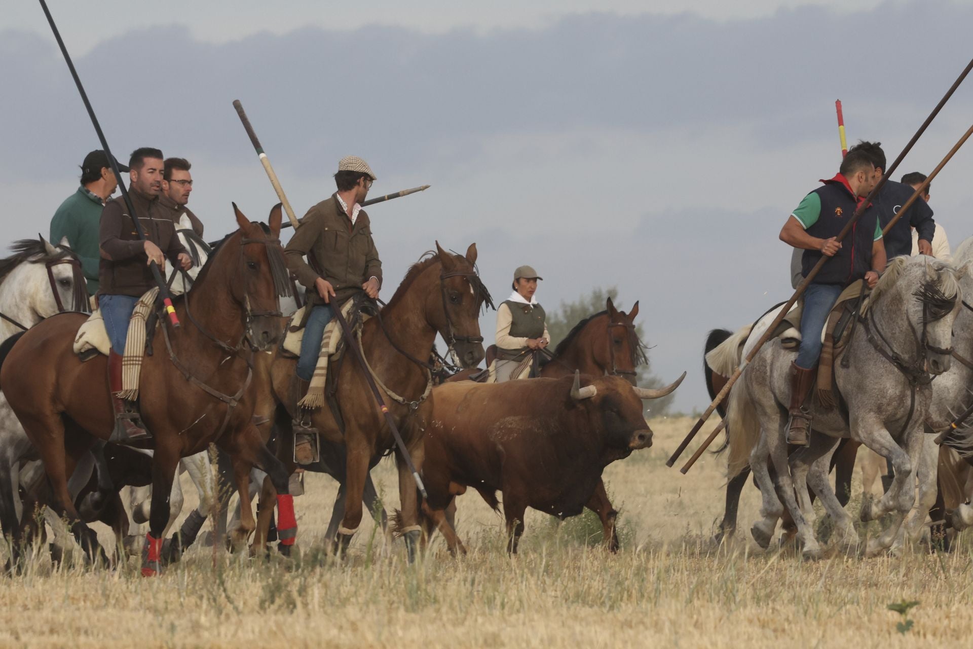 Las imágenes del encierro de este lunes en Medina del Campo