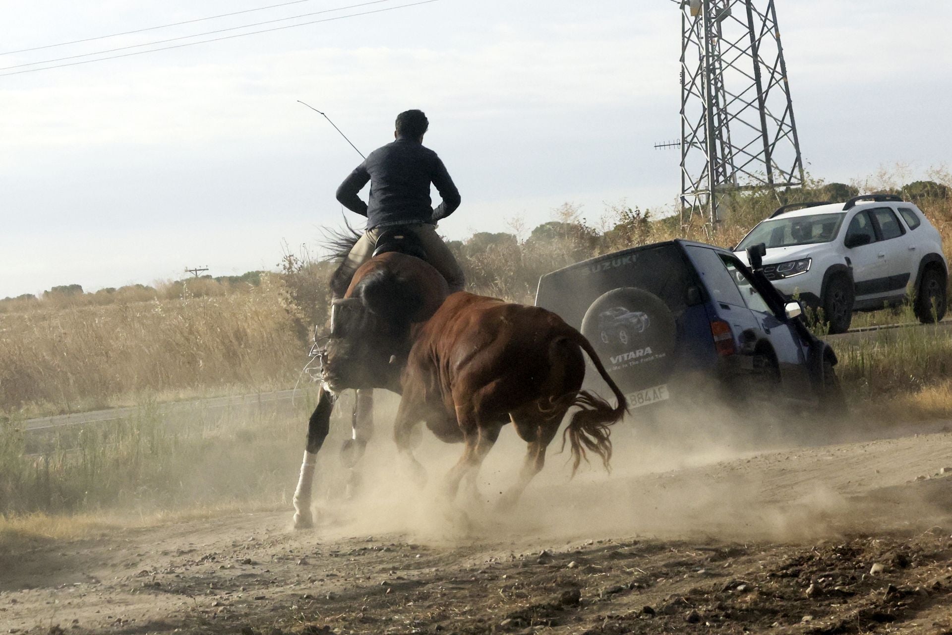Las imágenes del encierro de este lunes en Medina del Campo