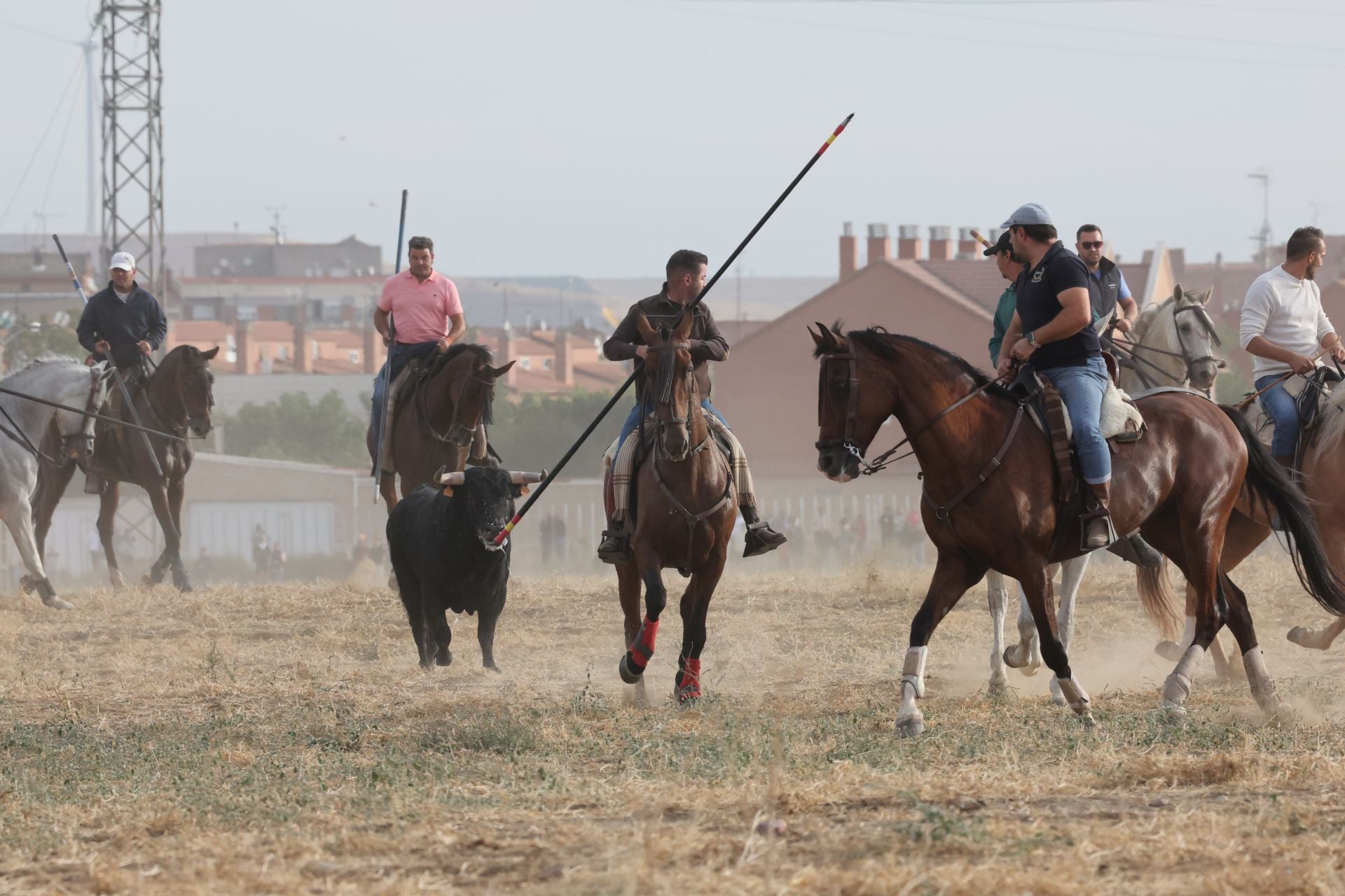 Las imágenes del encierro de este lunes en Medina del Campo