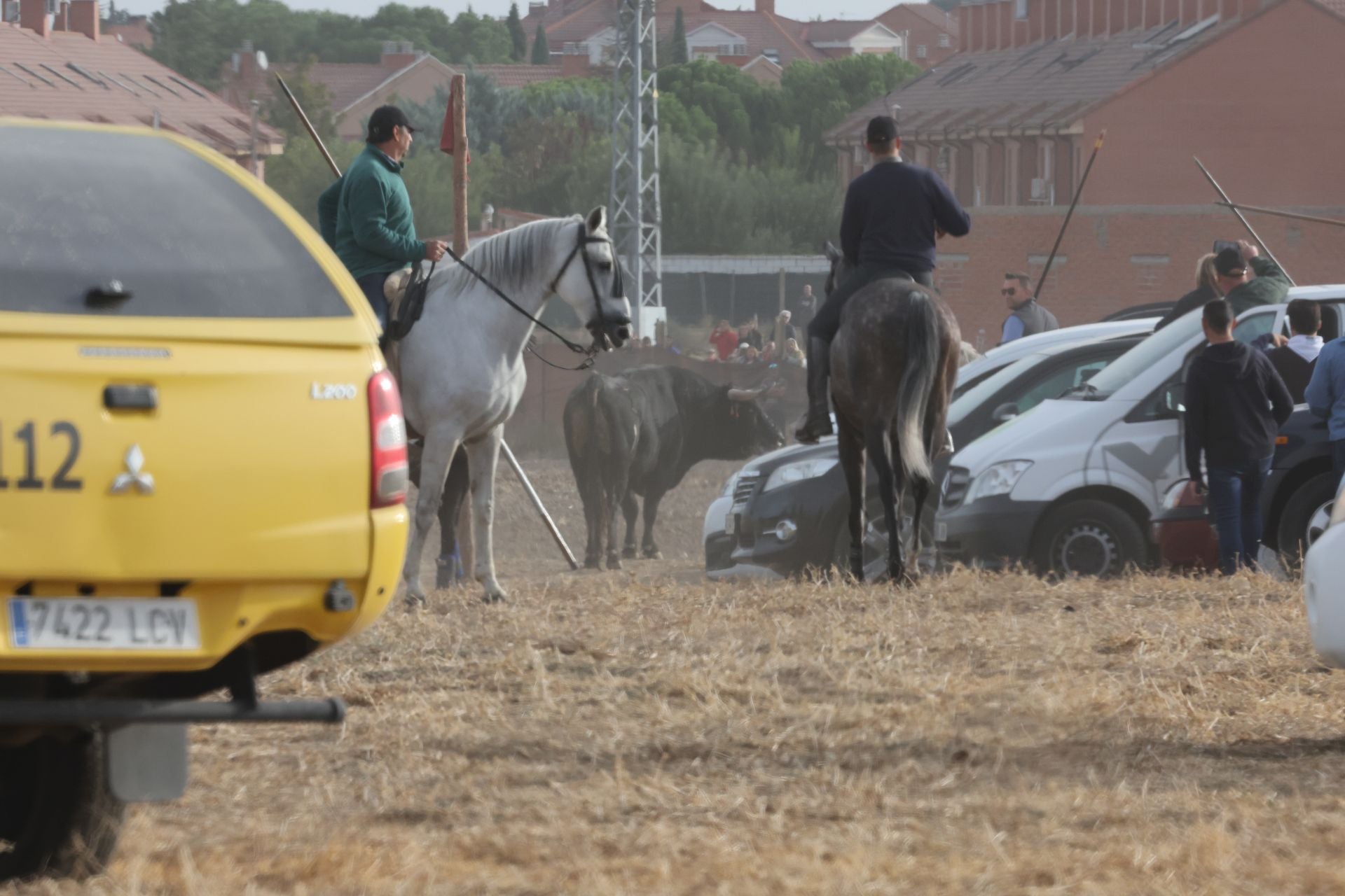 Las imágenes del encierro de este lunes en Medina del Campo