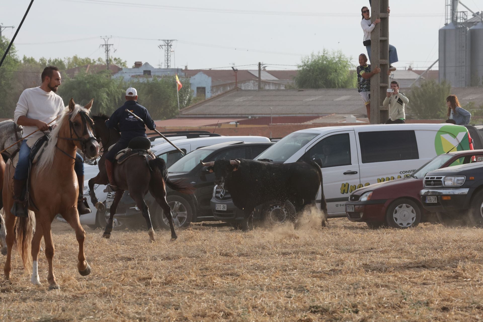 Las imágenes del encierro de este lunes en Medina del Campo