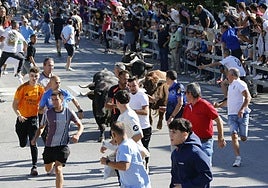 El encierro de Medina del Campo del pasado sábado.