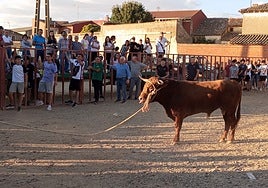 Numerosos aficionados siguieron el festejo desde las talanqueras