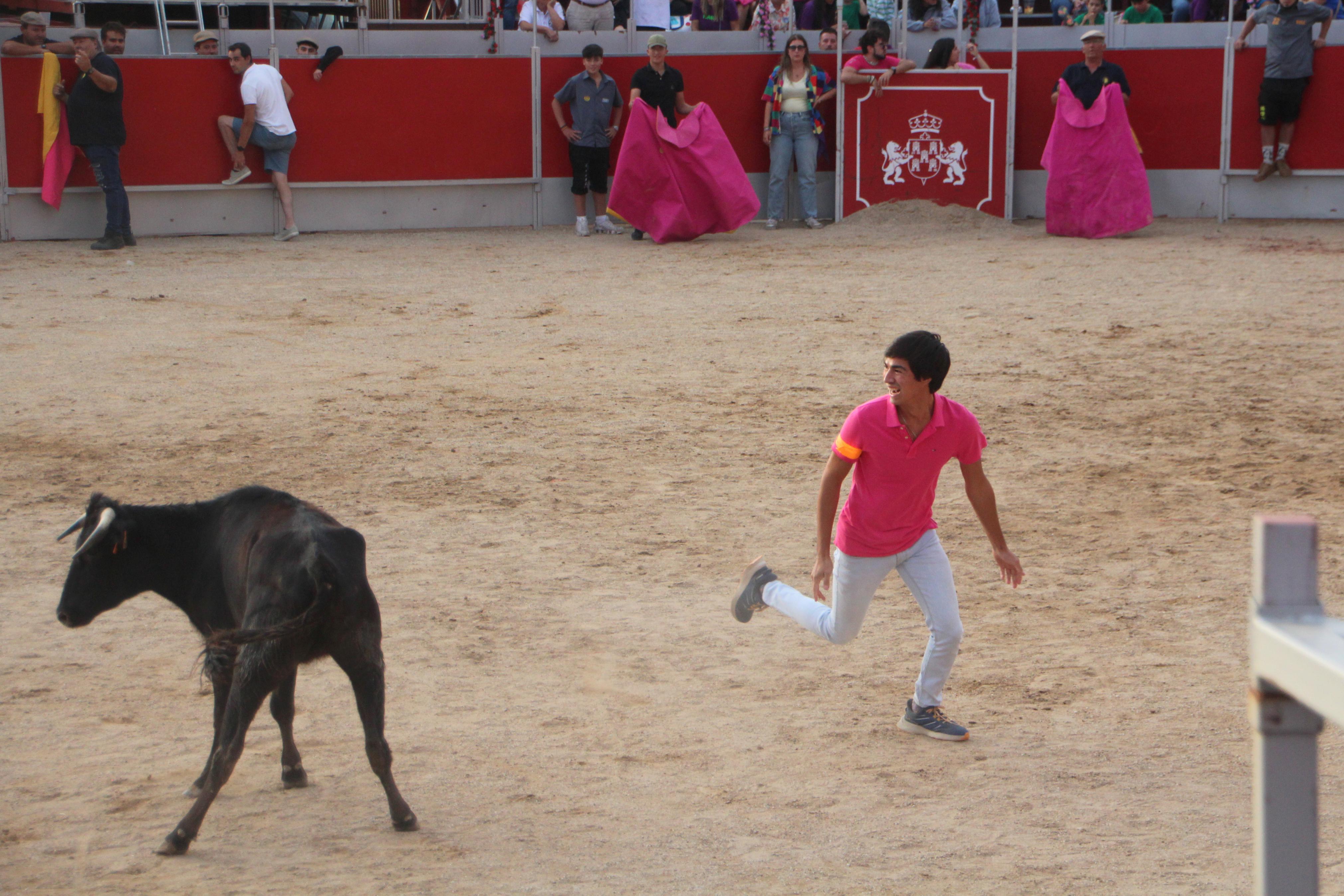 Festejos Taurinos en Baltanás