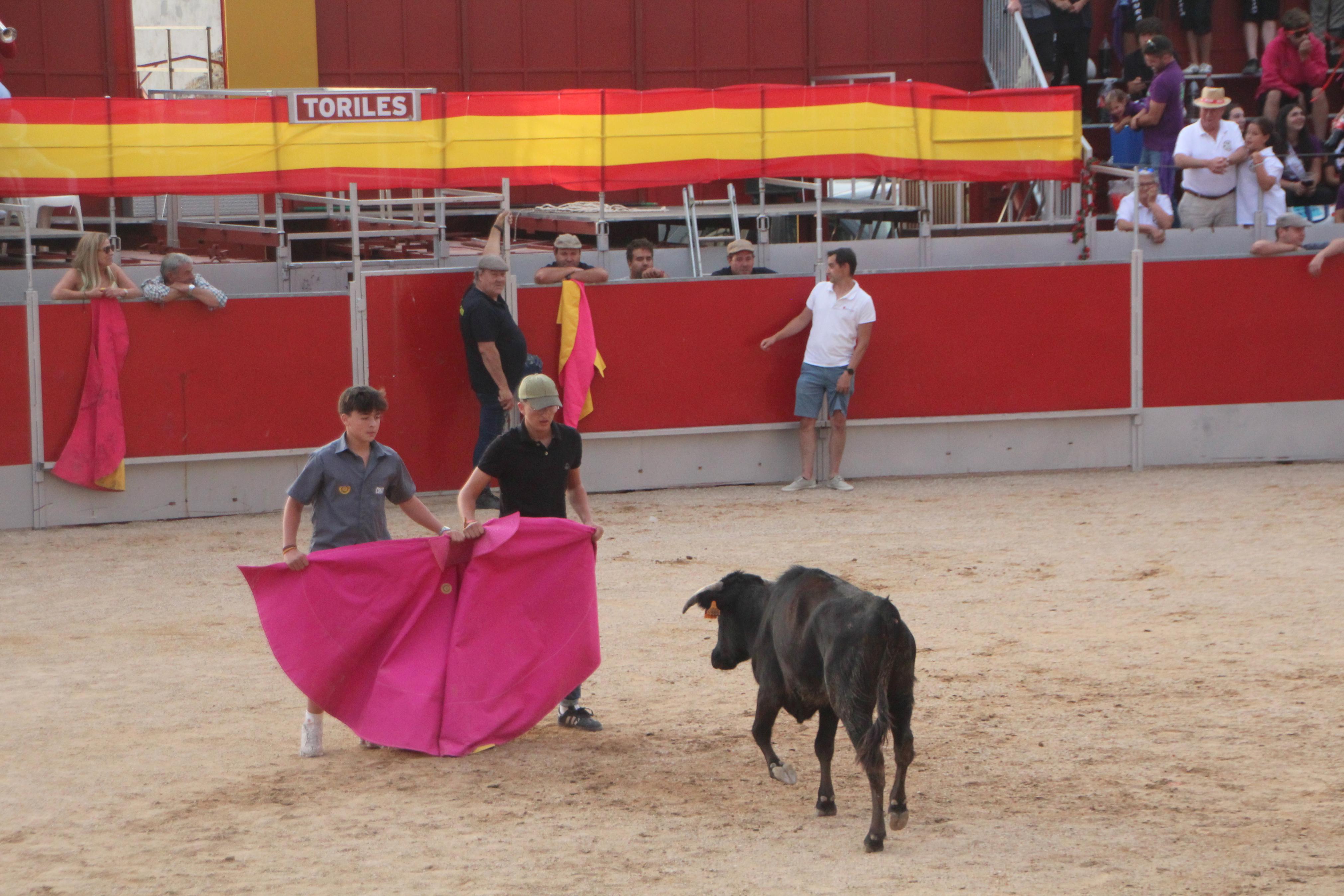 Festejos Taurinos en Baltanás